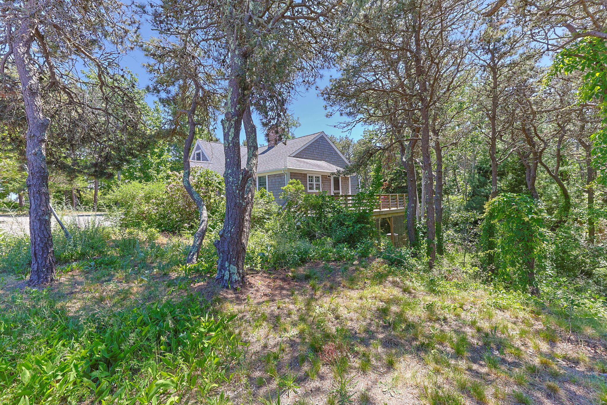  Move-In Ready Comfort on a Beautifully Wooded Acre-Plus Setting - 物件實景