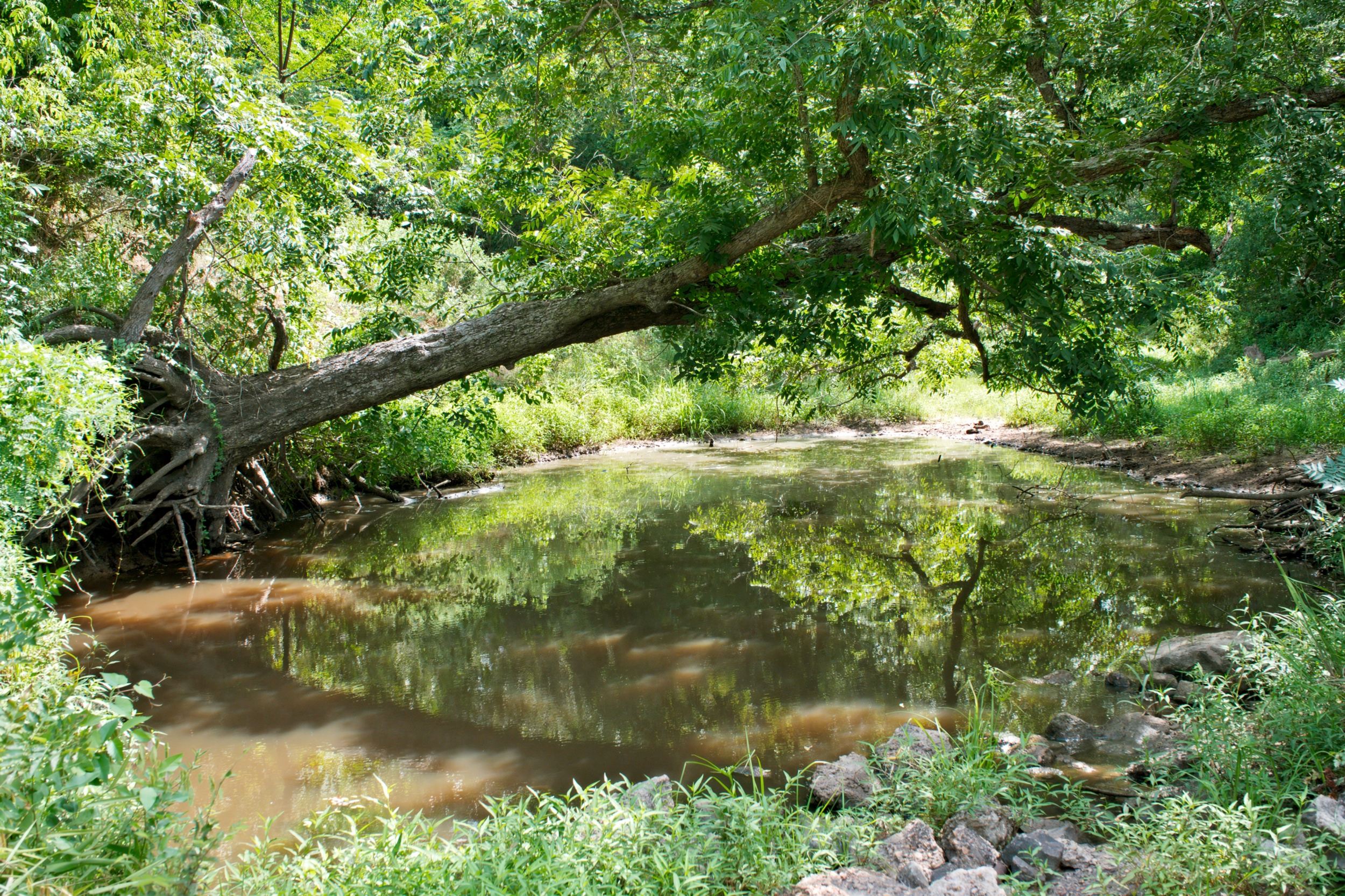  Bar Nothing Ranch, Fayette County - 物件實景