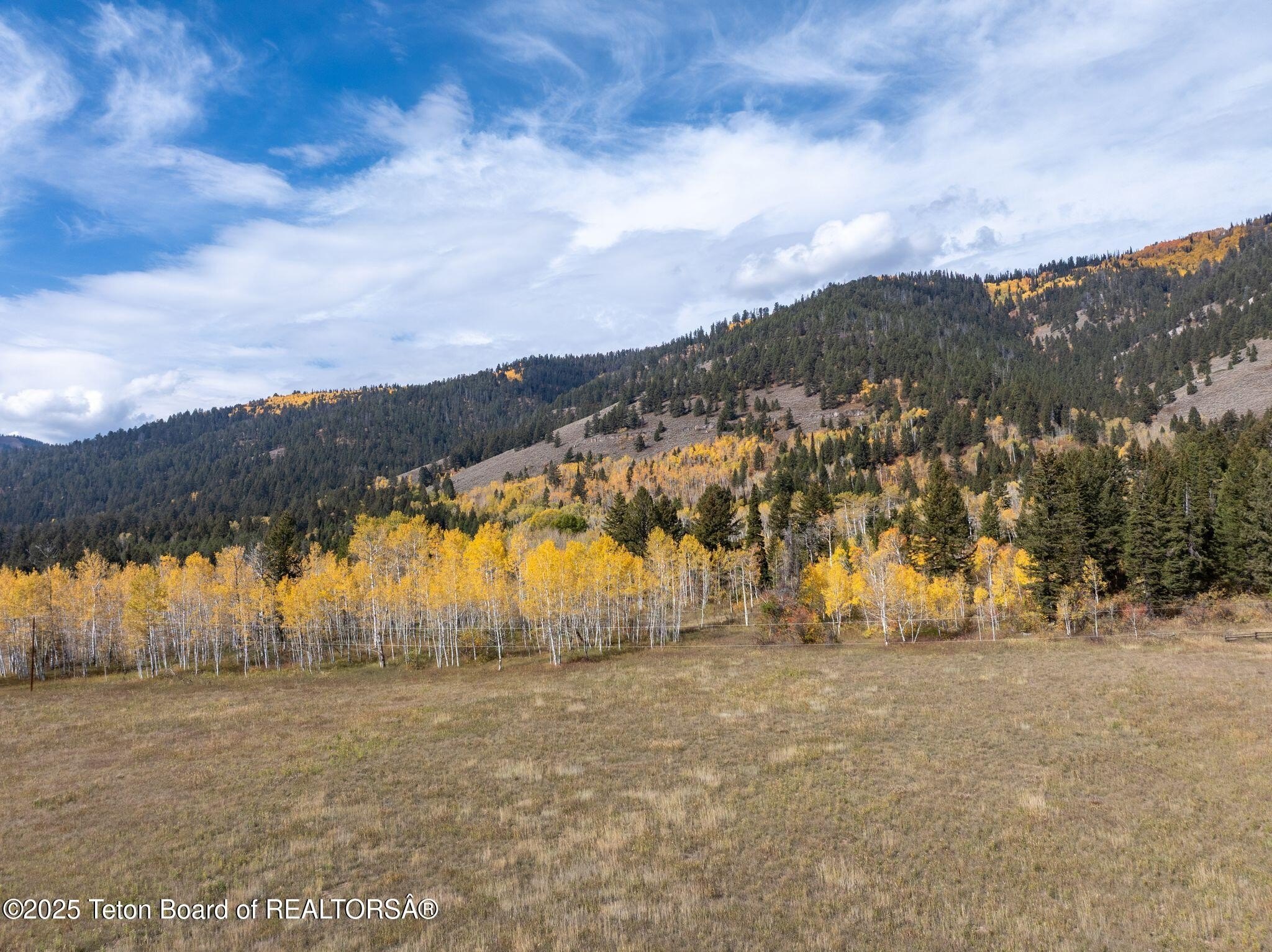 Wilson, Wyoming, 83014, United States, 5 Bedrooms Bedrooms, ,1 BathroomBathrooms,Residential,For Sale,1978081