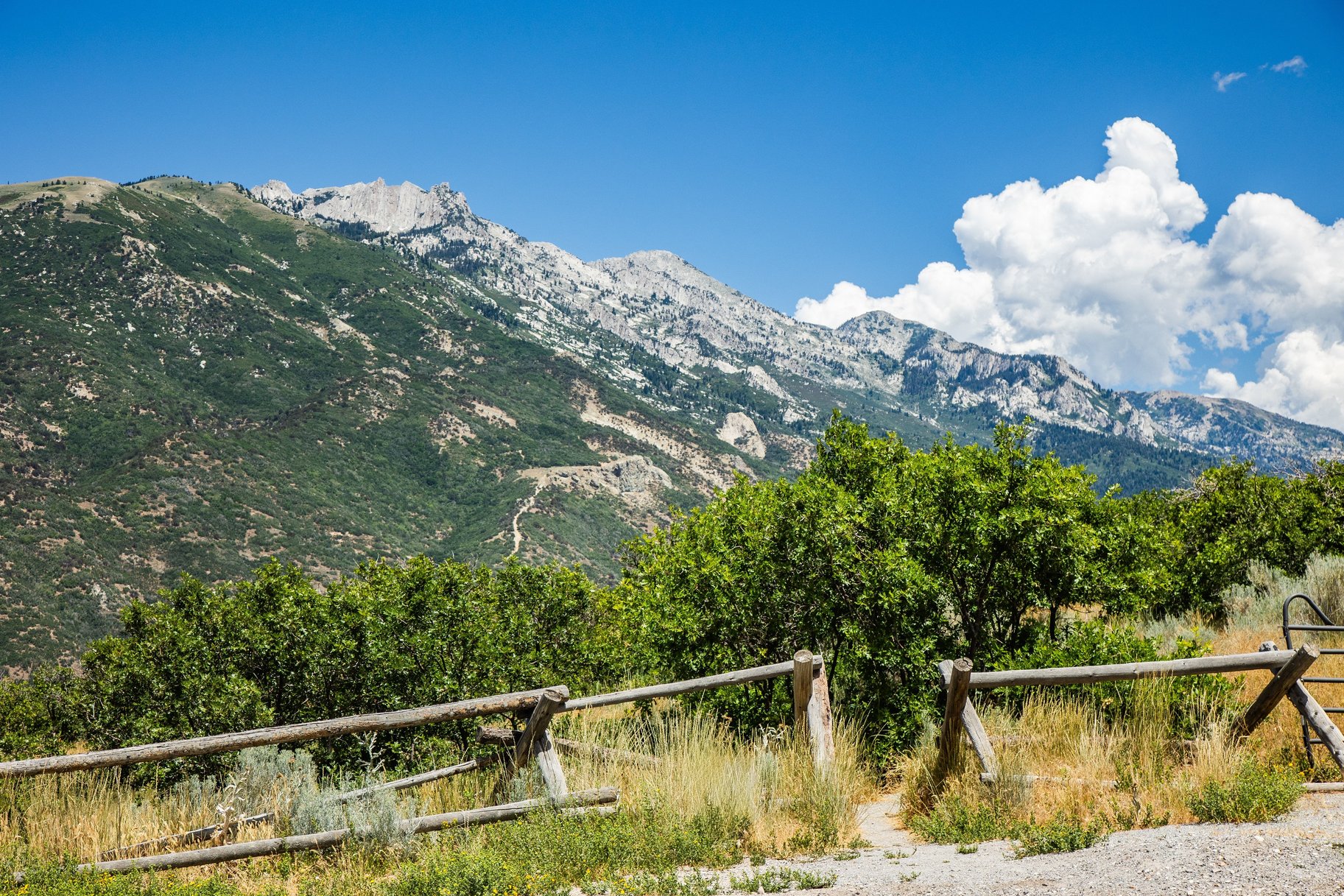  Suncrest Townhouse with Impeccable Valley Views - 物件實景