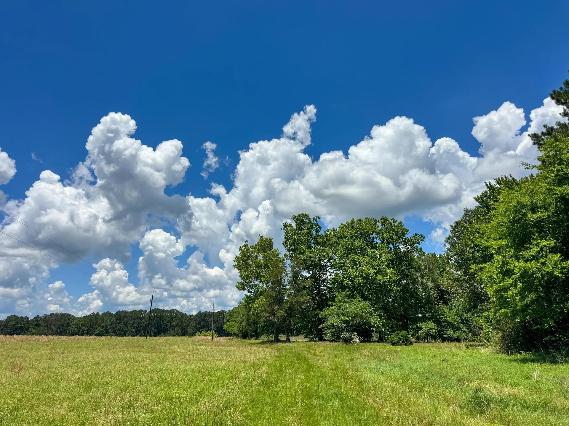 Douglassville, Texas, 75560, United States, ,Land,For Sale,2048006