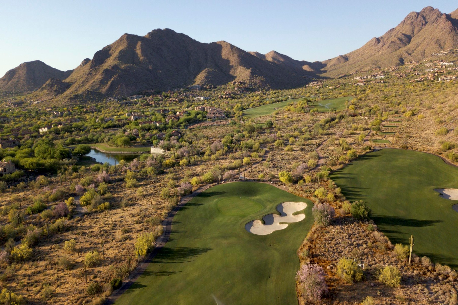  20759 N102nd Street ¦ Scottsdale, AZ - 物件實景