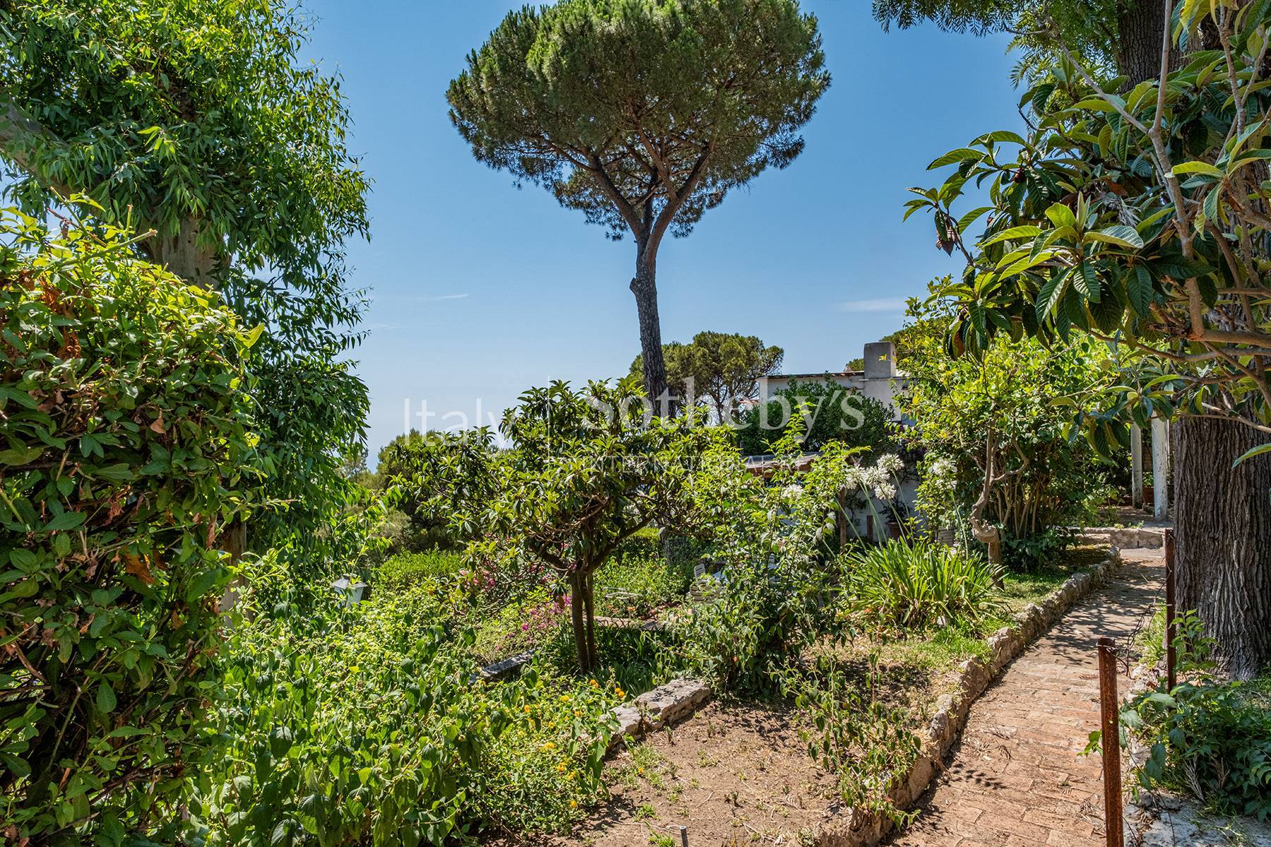  Charming residence in Anacapri - 物件實景