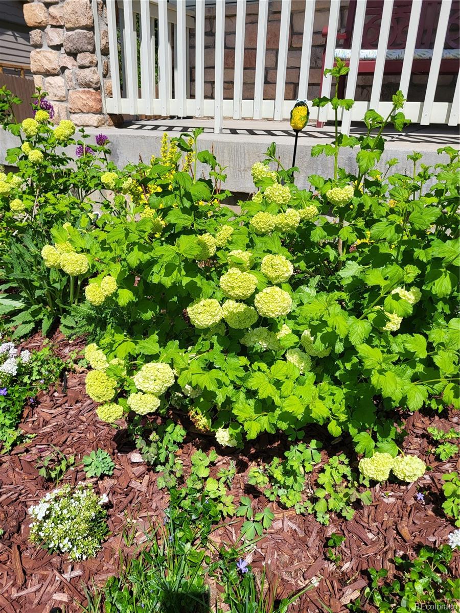 Aurora, Colorado, 80013, United States, 5 Bedrooms Bedrooms, ,3 BathroomsBathrooms,Residential,For Sale,2001899