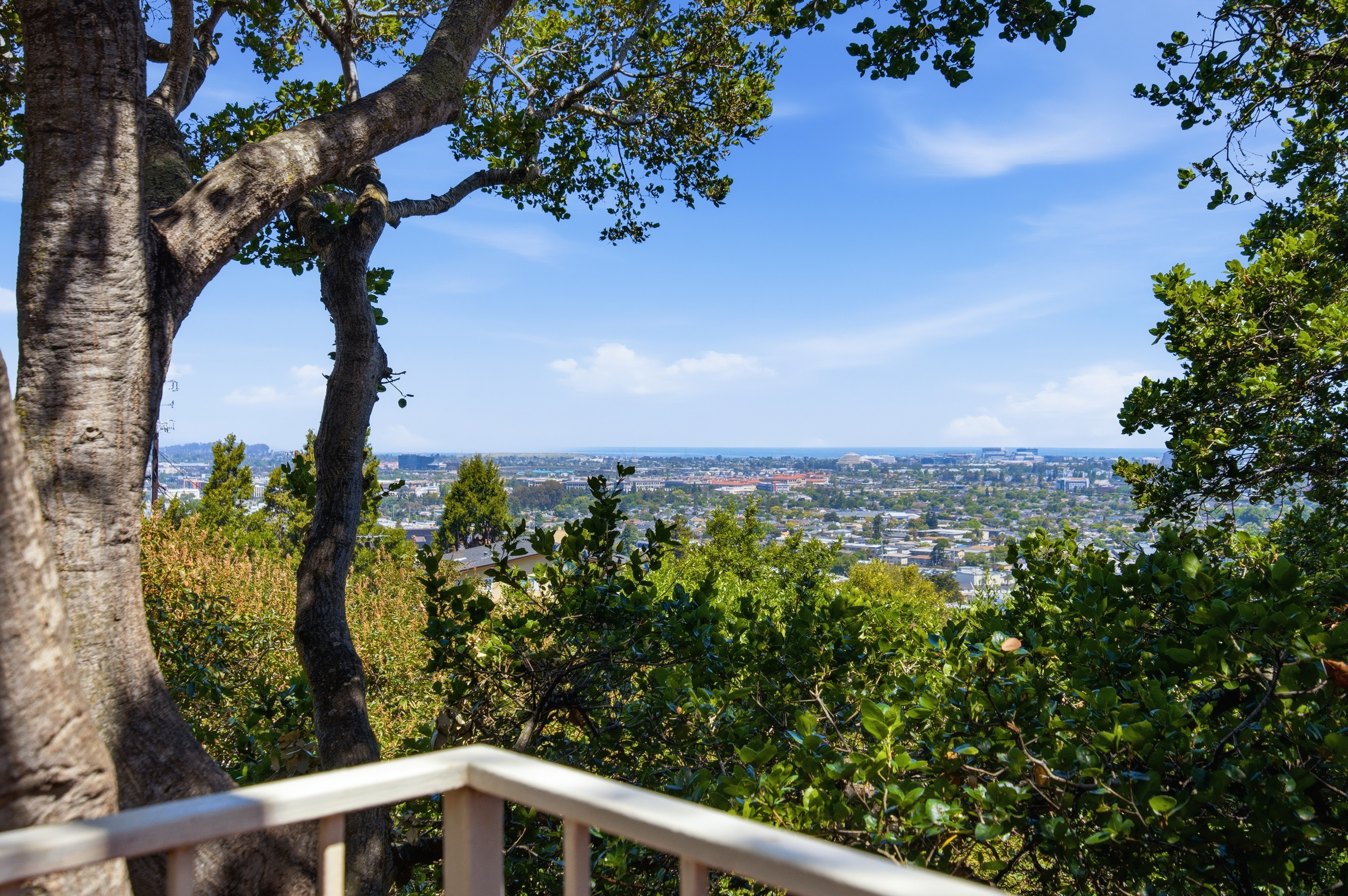  Prime Belmont Hills Home with Bay Views - 物件實景