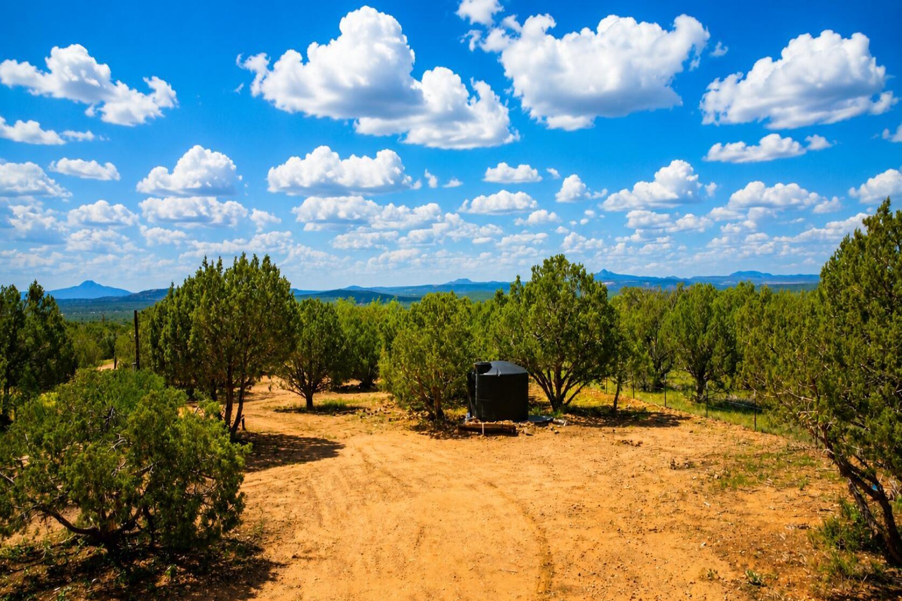  101 W Highland Street¦Williams, AZ - 物件實景