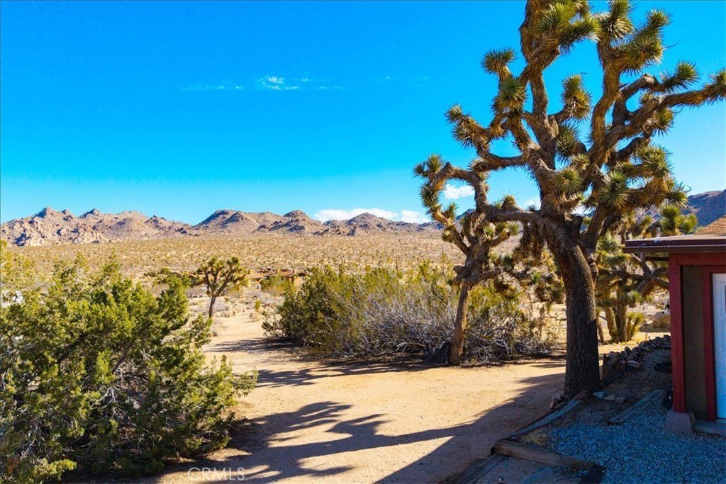 Joshua Tree, California, 92252, United States, 3 Bedrooms Bedrooms, ,2 BathroomsBathrooms,Residential,For Sale,1942307