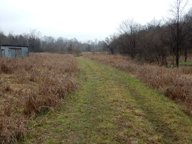 Clermont, Kentucky, 40110, United States, ,Land,For Sale,1980542