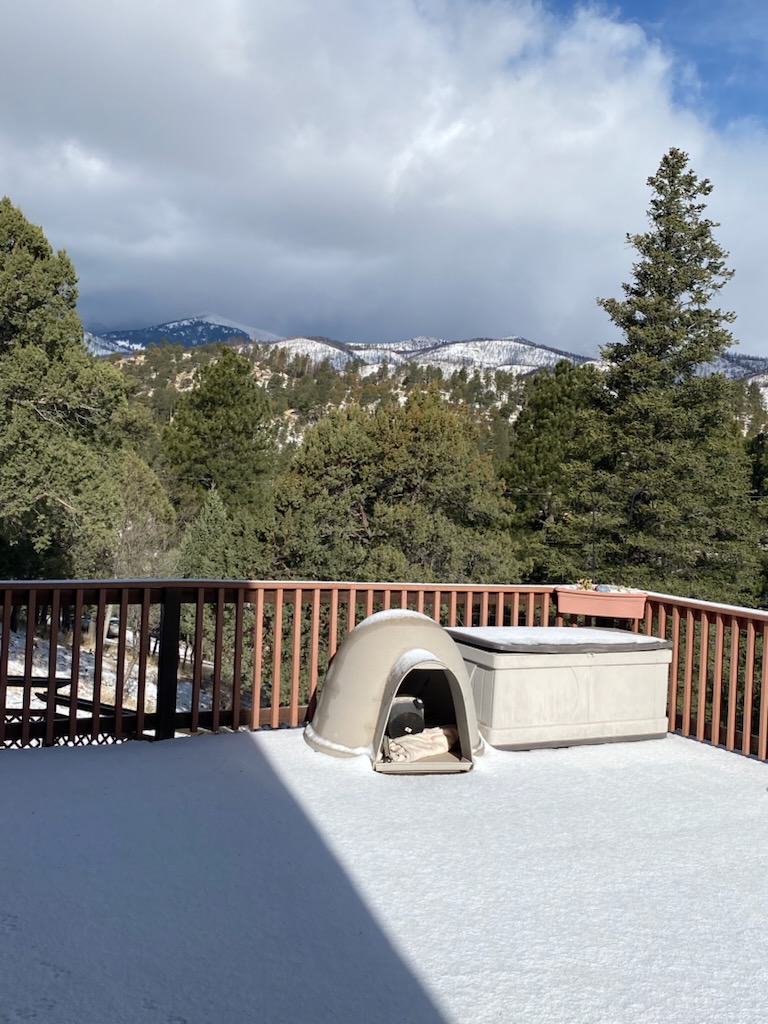 Ruidoso, New Mexico, 88345, United States, 3 Bedrooms Bedrooms, ,3 BathroomsBathrooms,Residential,For Sale,1770584