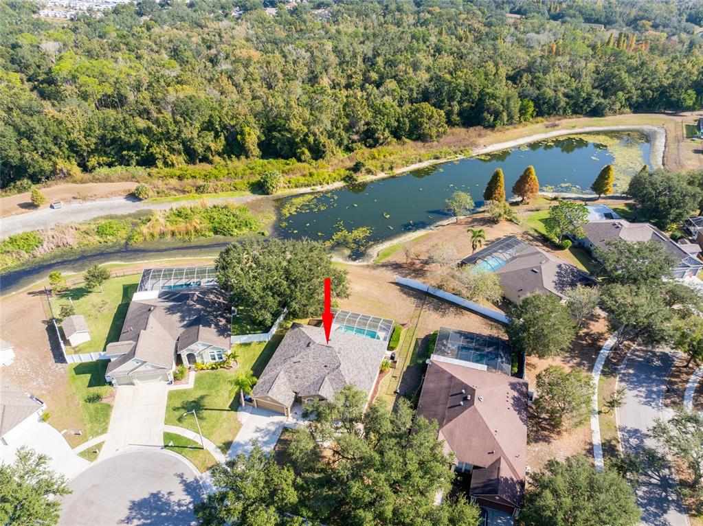 Riverview, Florida, 33569, United States, 4 Bedrooms Bedrooms, ,2 BathroomsBathrooms,Residential,For Sale,1999203