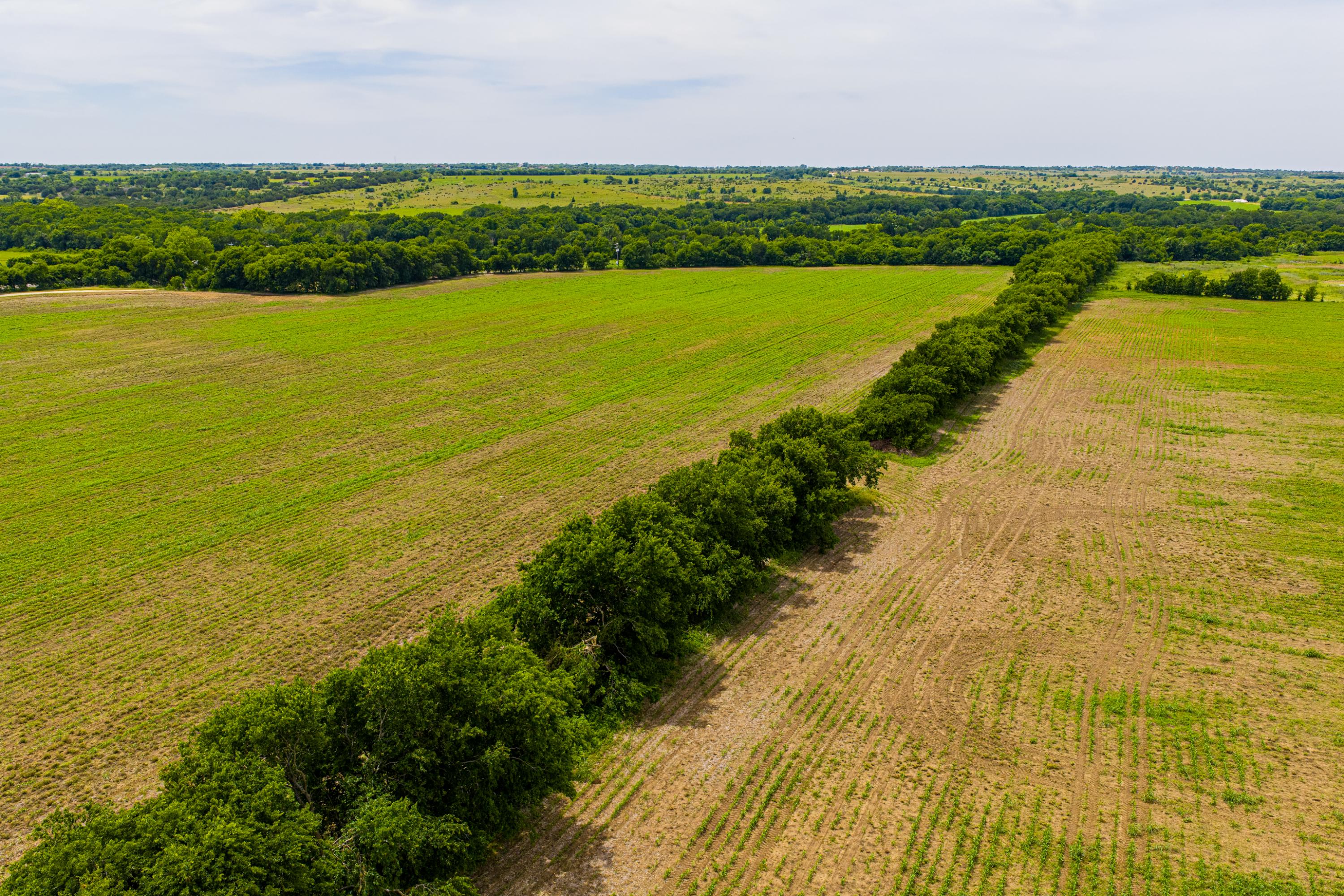 667 Acre Development Property With Two Miles Of Highway Frontage - 物件實景