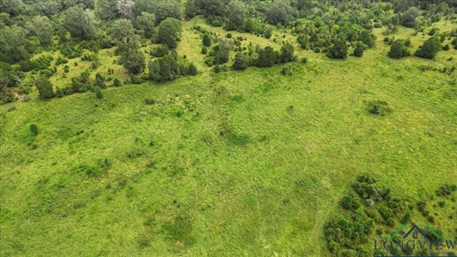 Henderson, Texas, 75654, United States, ,Land,For Sale,1951348