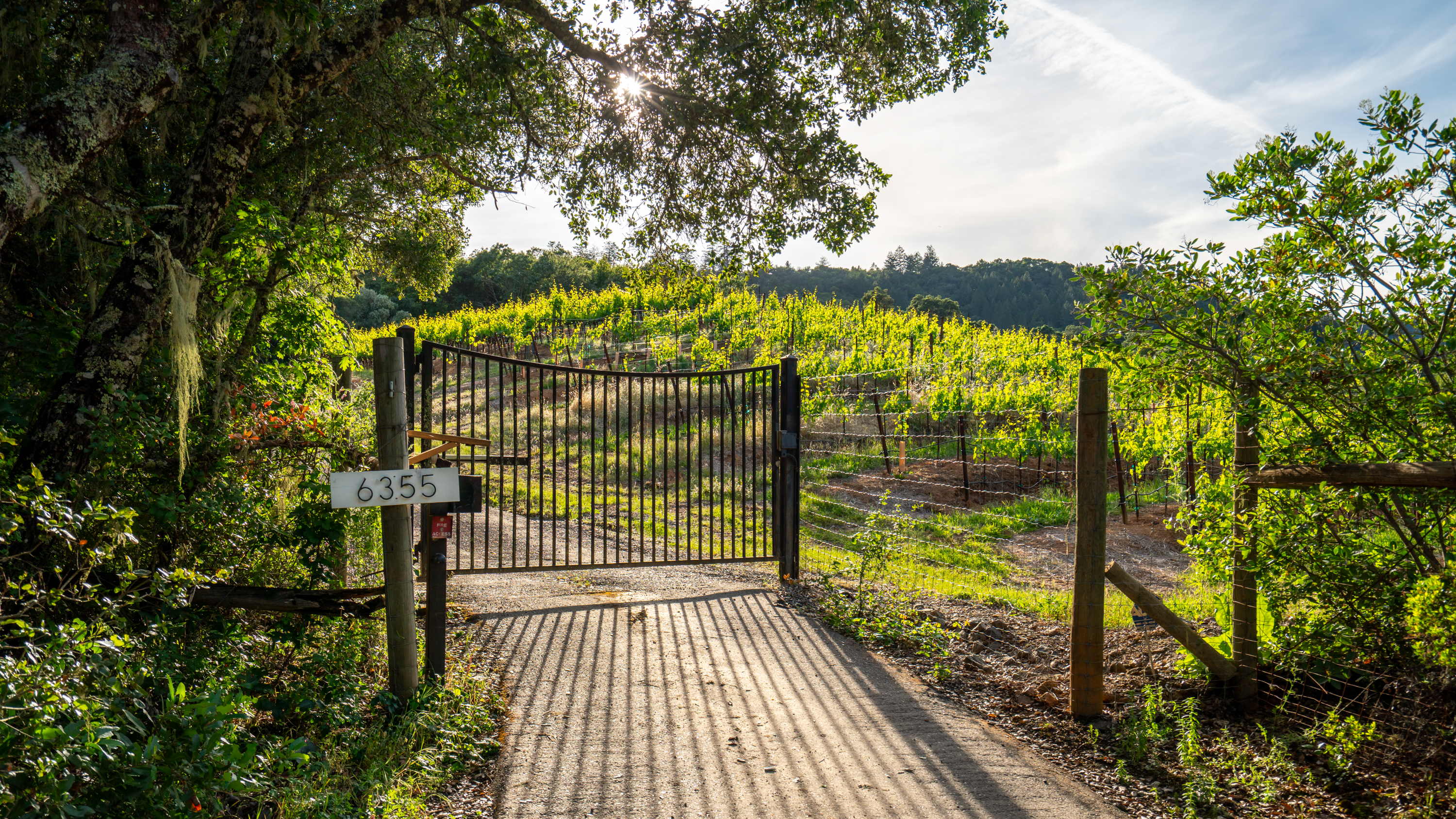  Quietly Exceptional Dry Creek Valley Estate - 物件實景