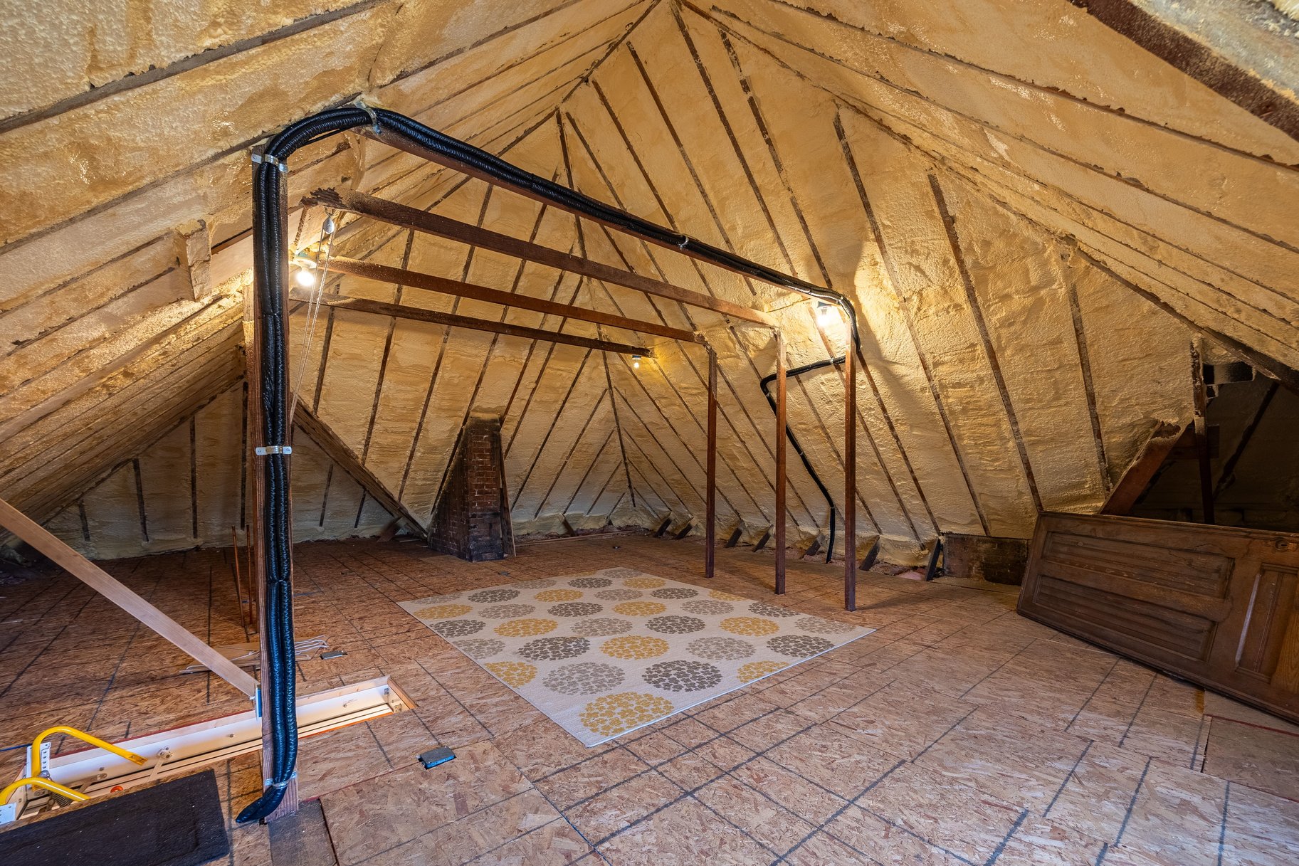  1892 Queen Anne Masterpiece in the Heart of the Avenues - 物件實景