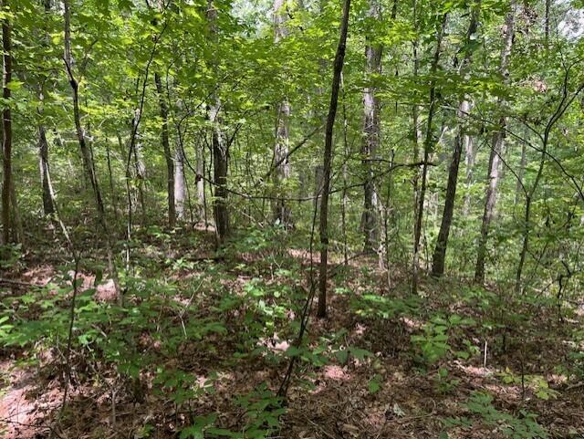 Graysville, Tennessee, 37338, United States, ,Residential,For Sale,1943907