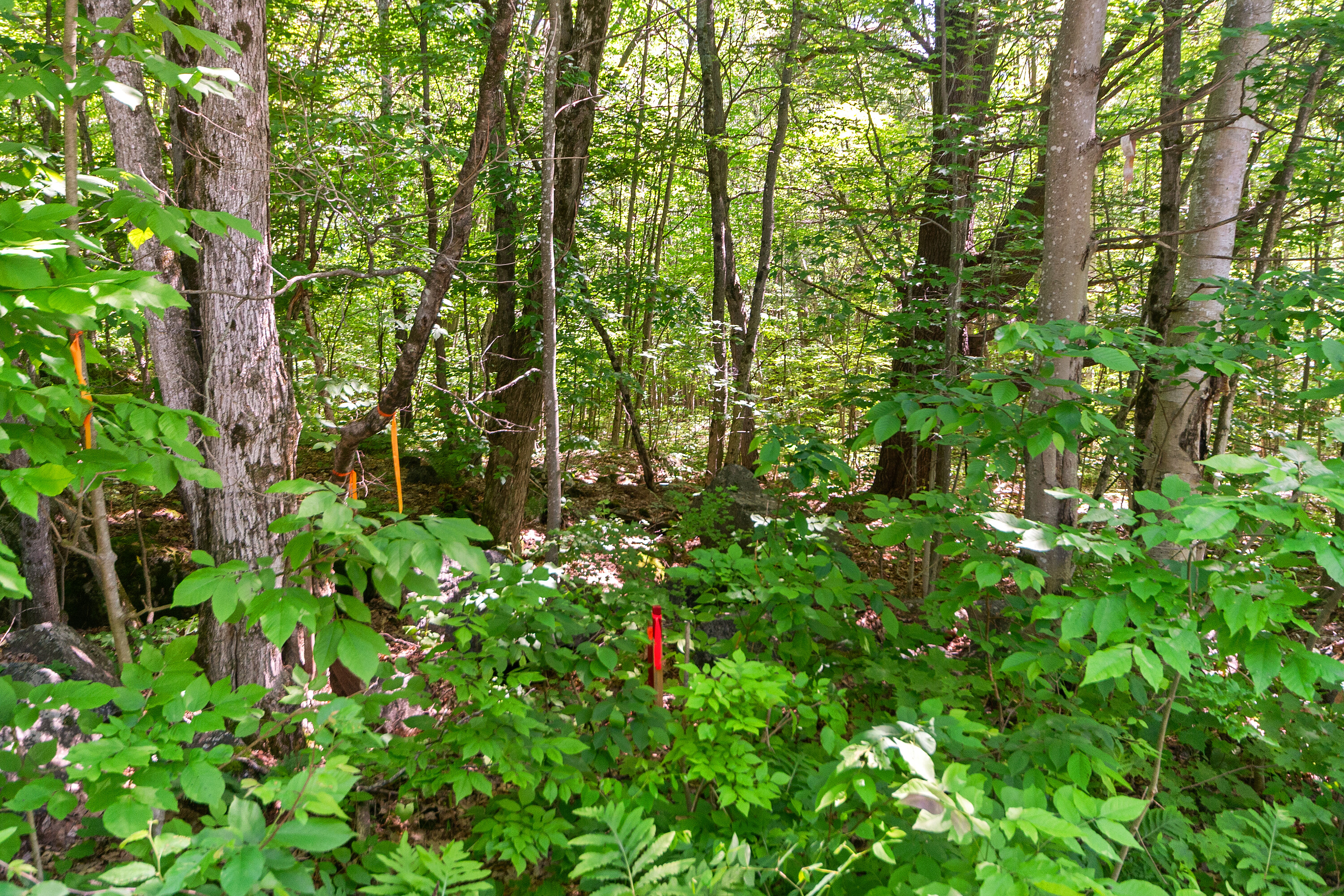  Parry Sound Area Building Lot - 物件實景