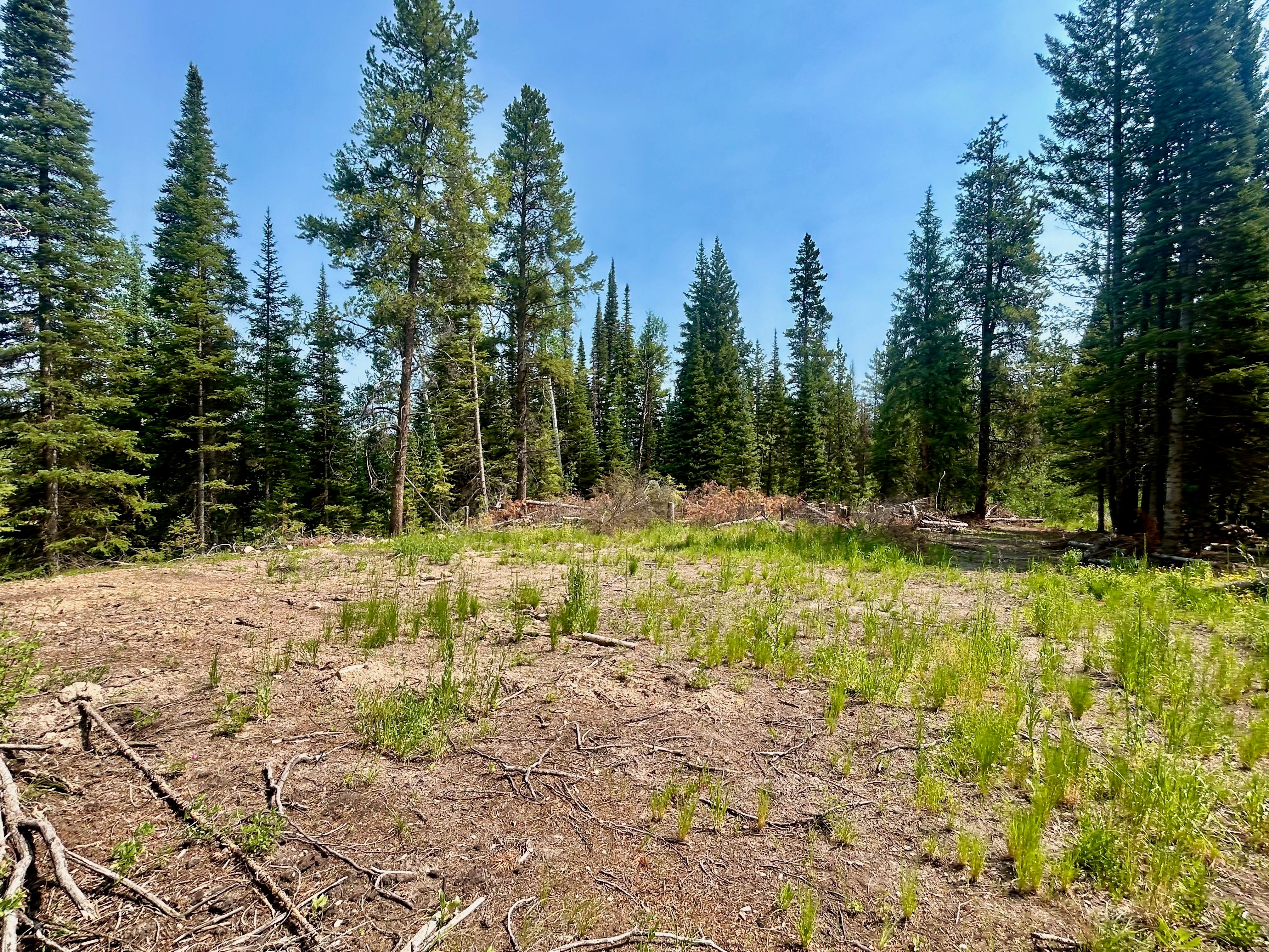  Lot 38 Colt Trail, Oak Creek, CO, 80467 - 物件實景