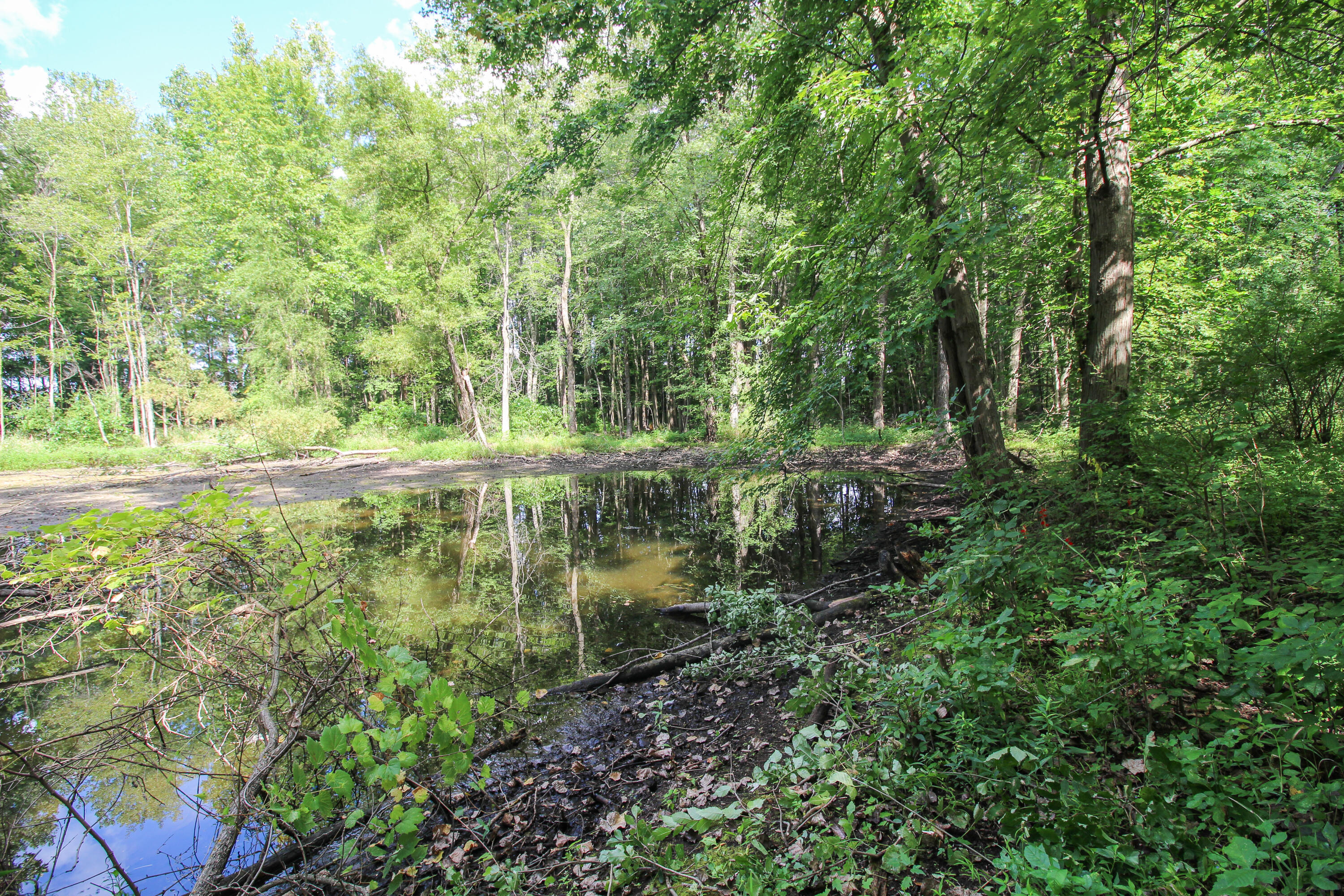 Three Rivers, Michigan, 49093, United States, 4 Bedrooms Bedrooms, ,1 BathroomBathrooms,Residential,For Sale,2006073