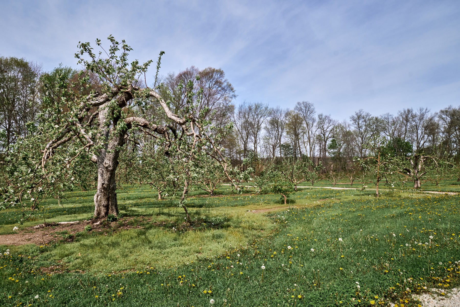  Premier Orchard & Winery with Luxurious Main House - 物件實景