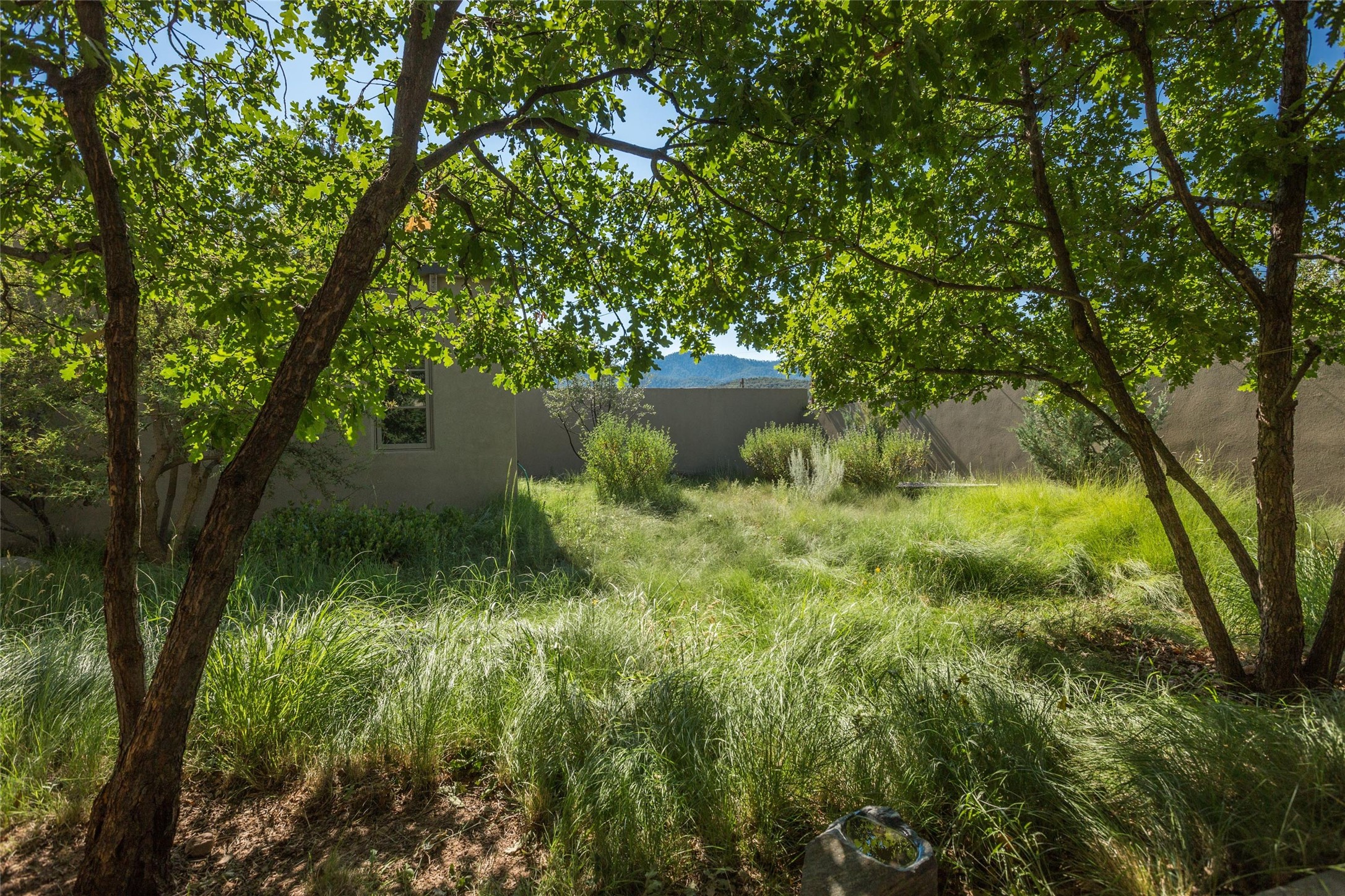  1291 Cerro Gordo Rd - 物件實景