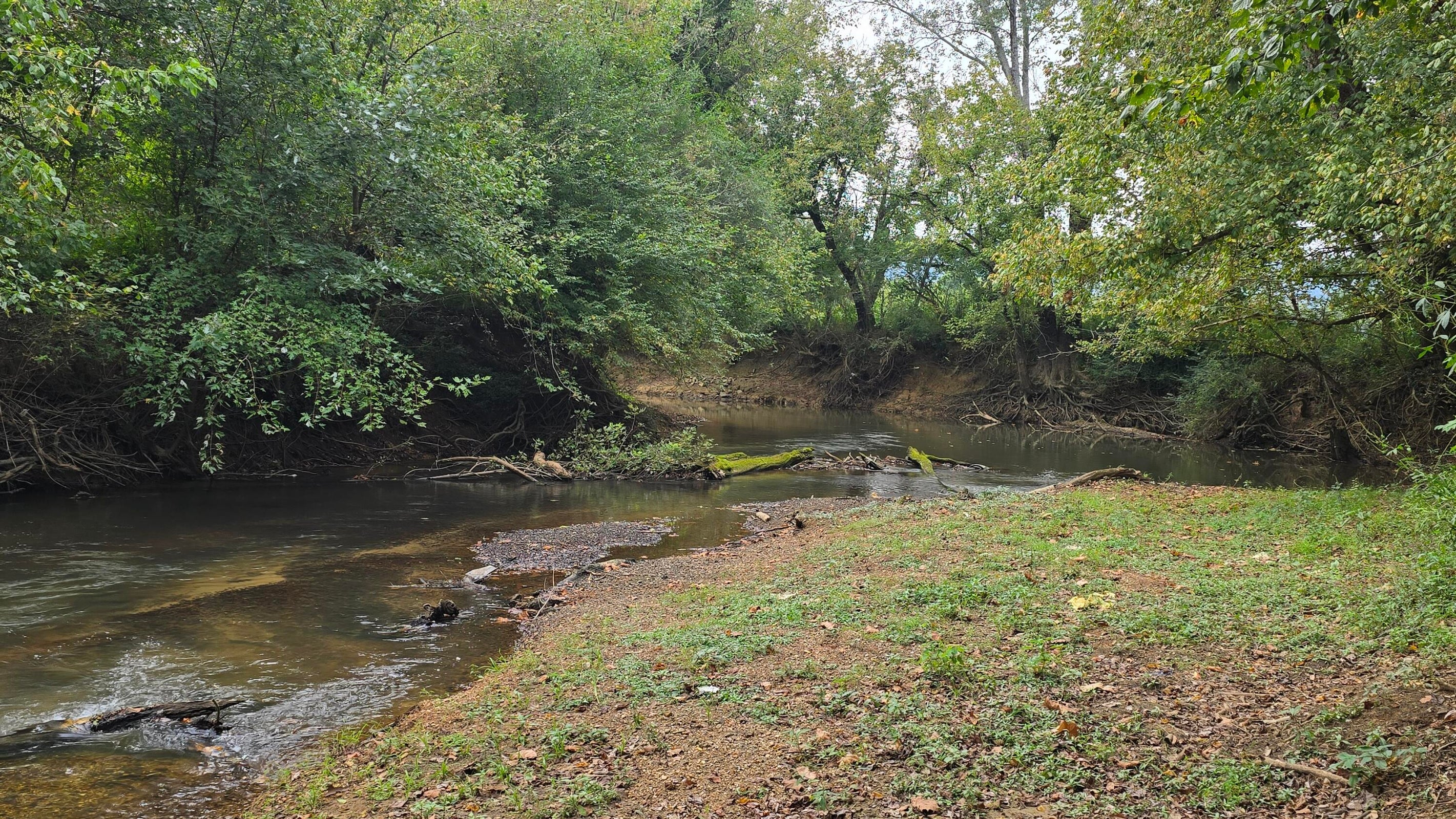 Pikeville, Tennessee, 37367, United States, ,Land,For Sale,1978902
