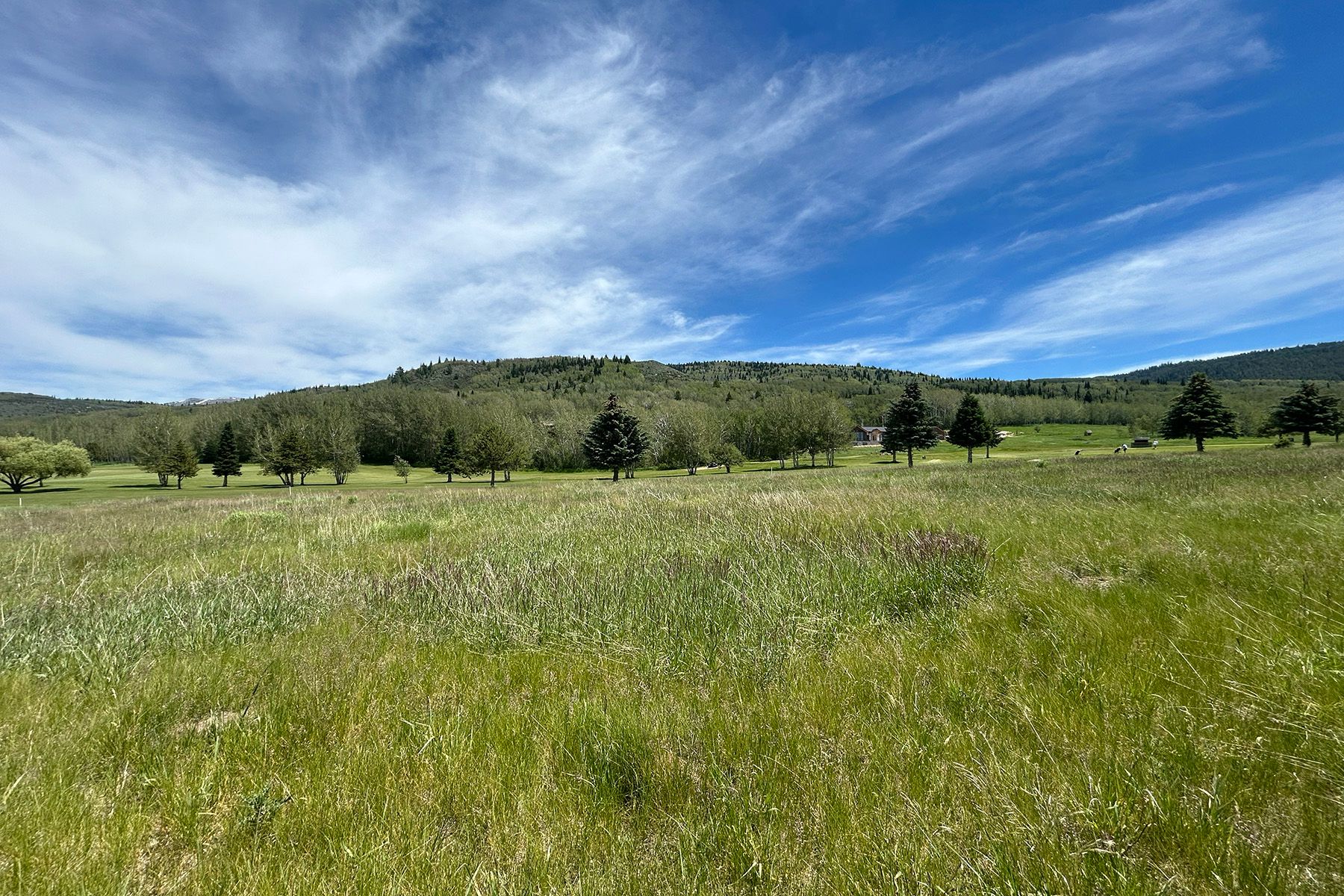  2.9 Acres Site-Alta WY Golf Course - 物件實景