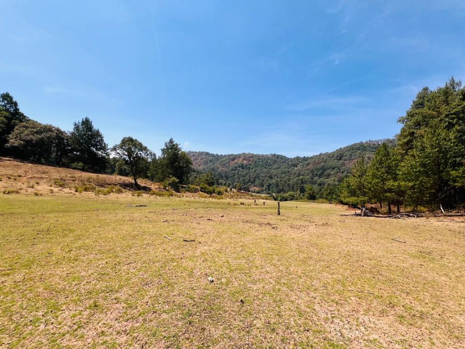 Valle de Bravo, Estado de méxico, 51200, Mexico, 1 Bedroom Bedrooms, ,Residential,For Sale,1721616