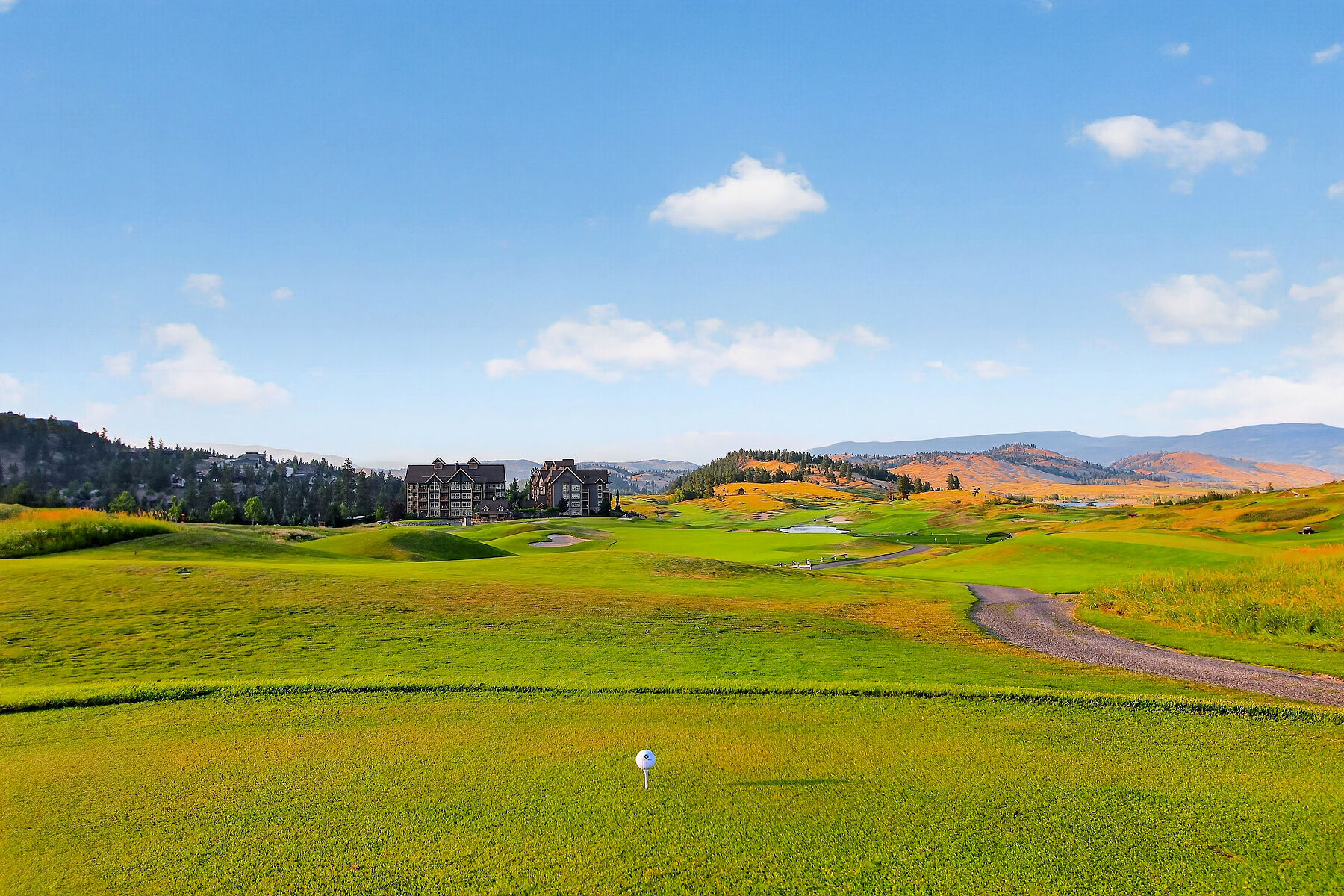  Vernon, Thompson & Okanagan - 物件實景