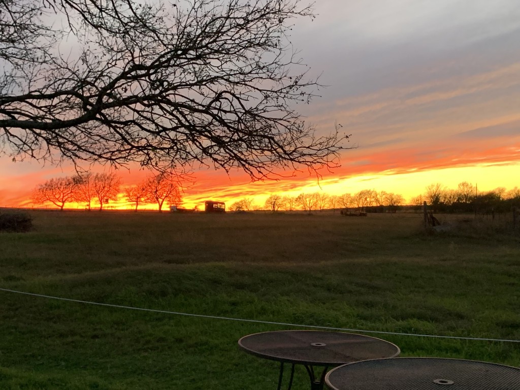 Granger, Texas, 76530, United States, ,Residential,For Sale,1885881
