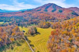 Fincastle, Virginia, 24090, United States, ,Residential,For Sale,1989448