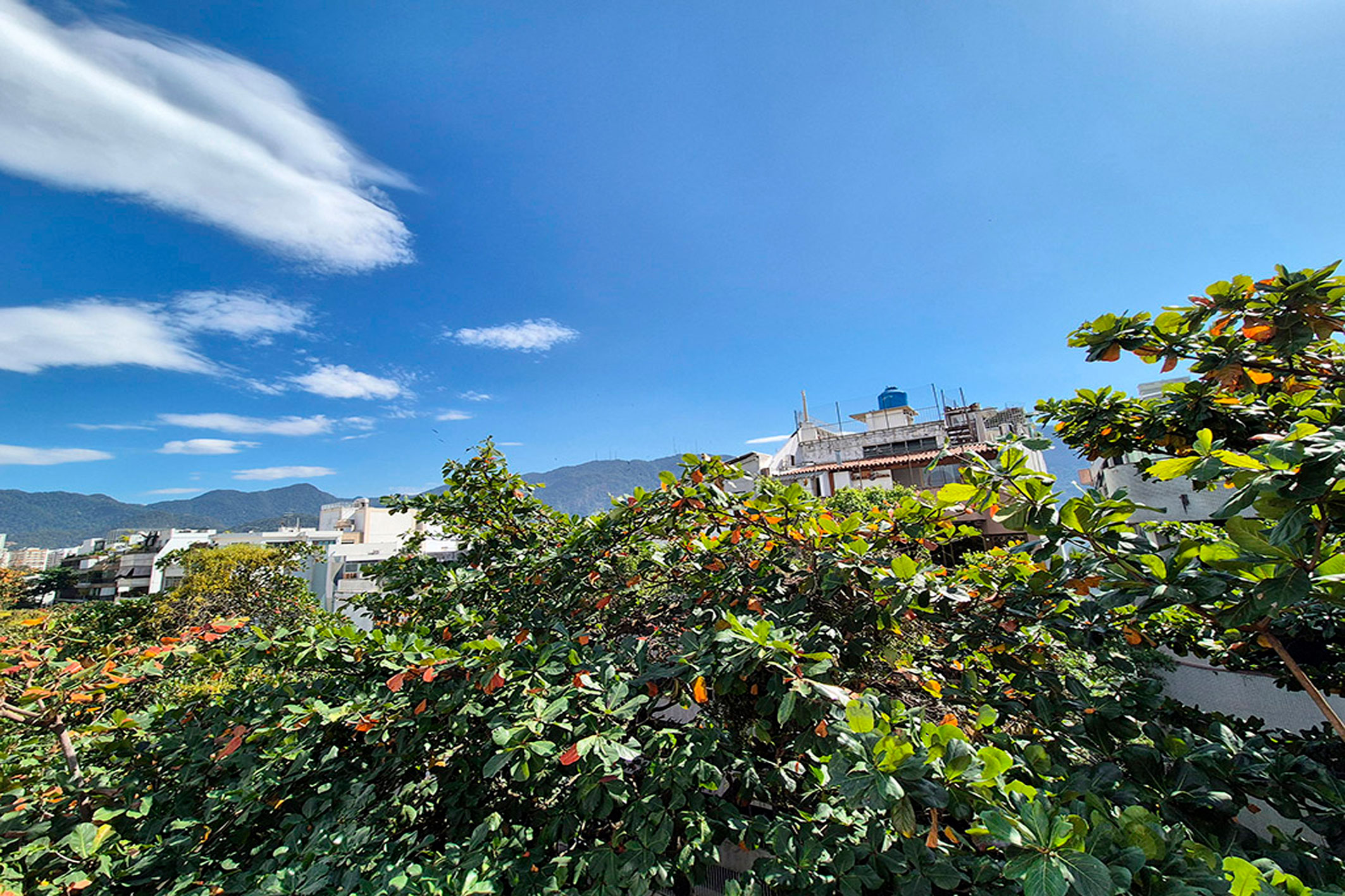  Duplex Apartment with Potential for a Third Floor in Ipanema - 物件實景