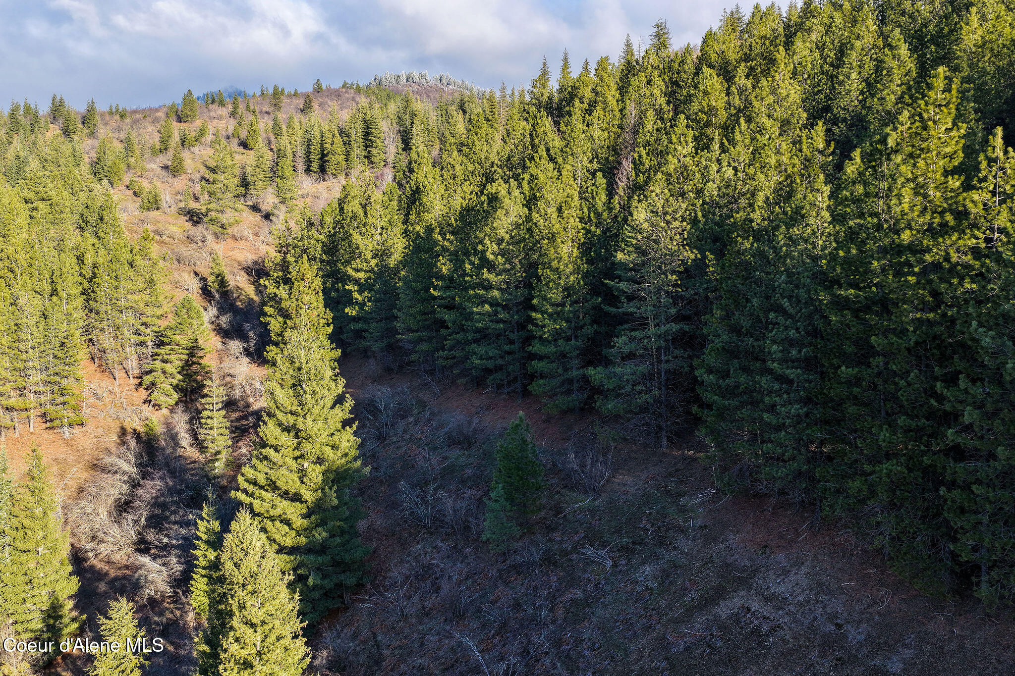 Kellogg, Idaho, 83837, United States, ,Land,For Sale,2012568