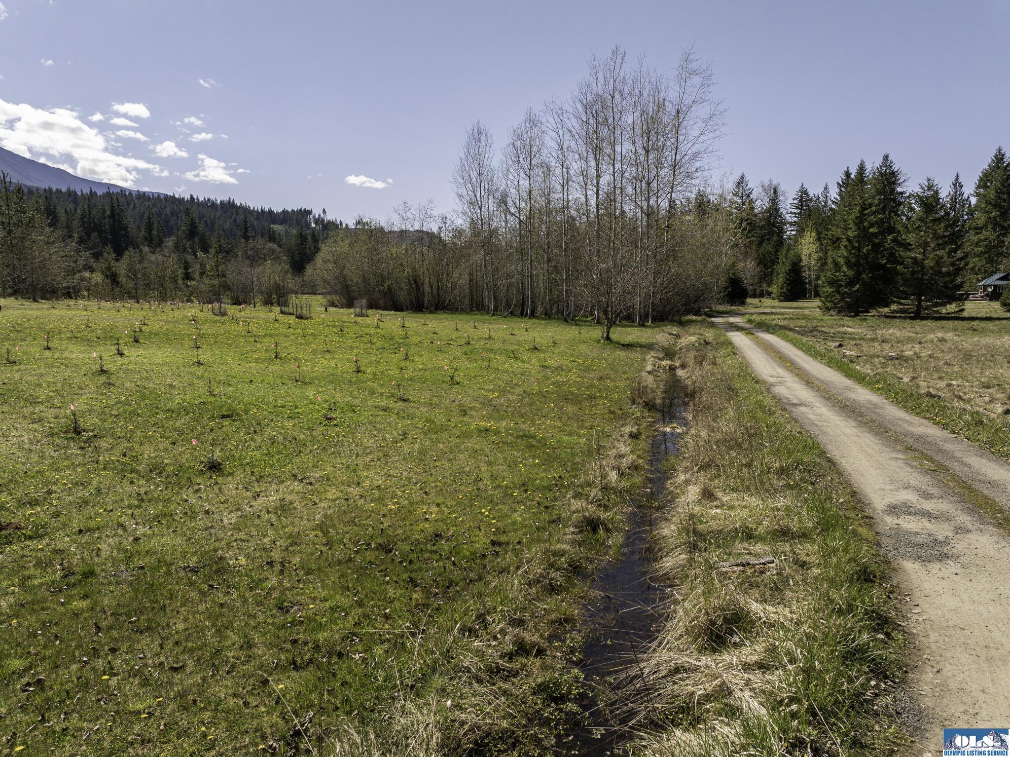 Sequim, Washington, 98382, United States, ,Land,For Sale,1787569