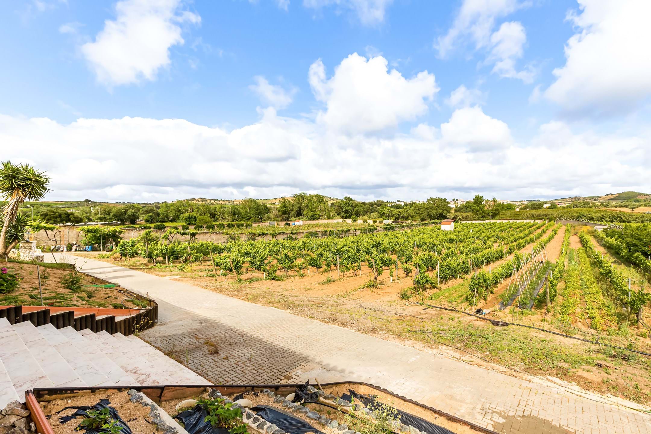 Vidigueira, Beja, 7960-313, PT, 5 Bedrooms Bedrooms, ,4 BathroomsBathrooms,Residential,For Sale,1699252