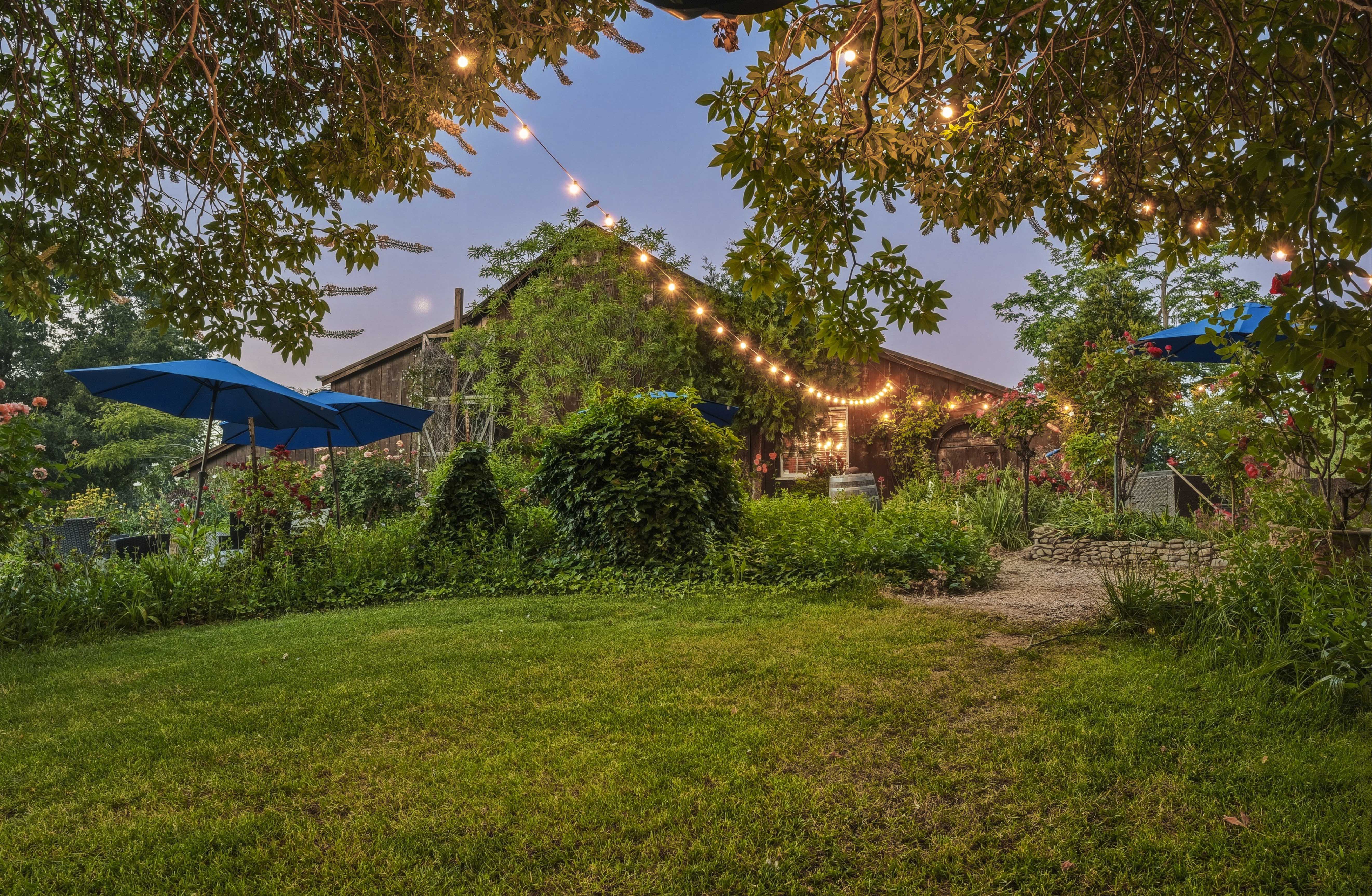  10120 Shenandoah Road, Plymouth, CA 95669 - 物件實景