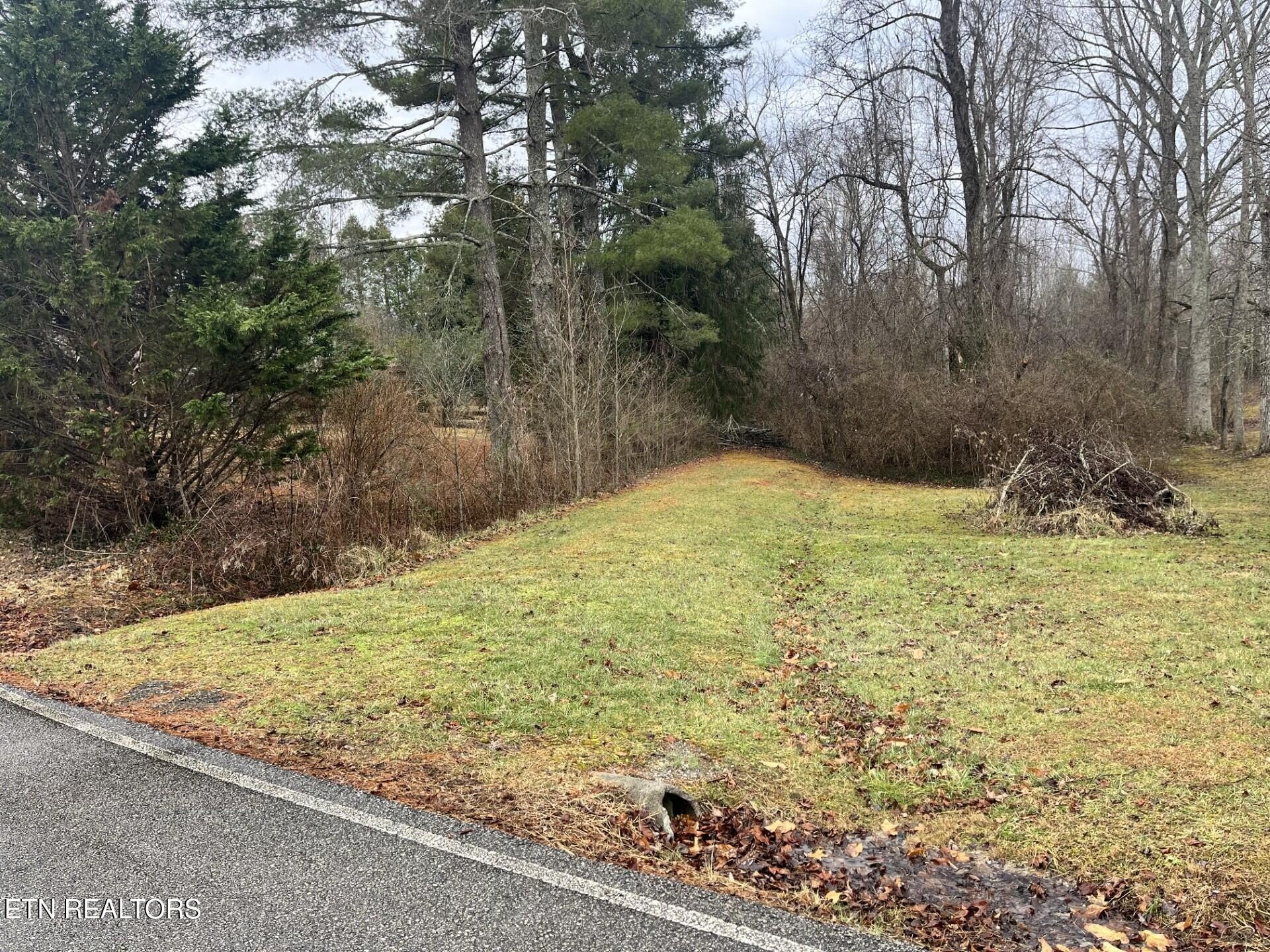 Crossville, Tennessee, 38555, United States, ,Land,For Sale,1982982