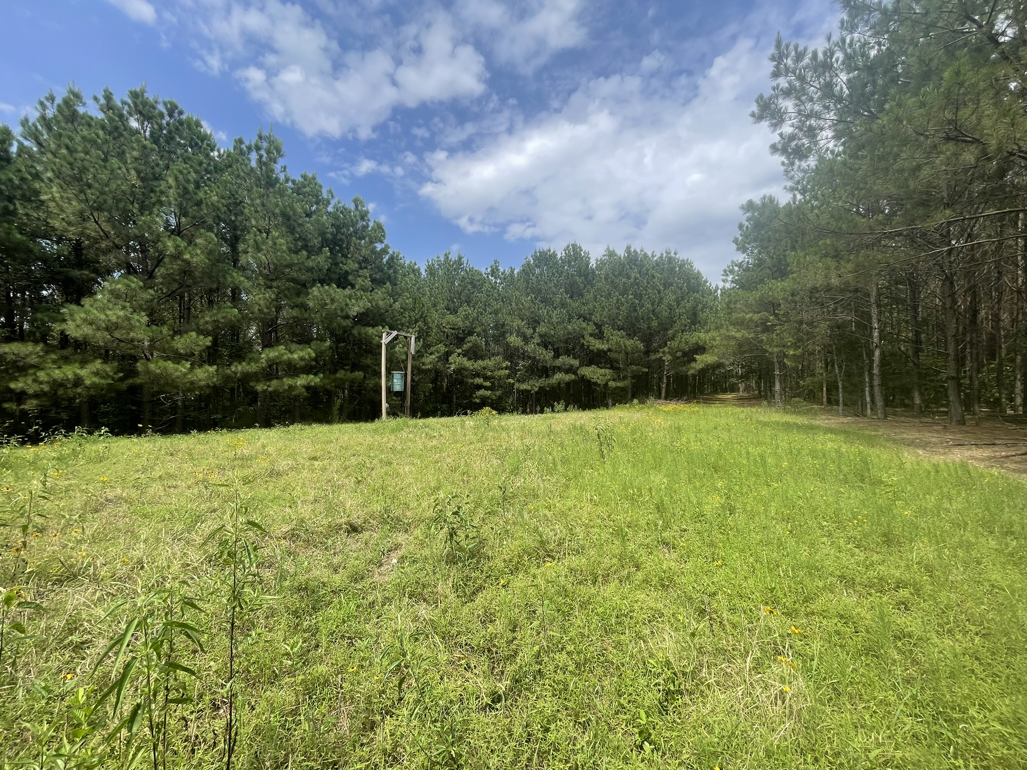 Cove, Arkansas, 71937, United States, 2 Bedrooms Bedrooms, ,Residential,For Sale,1938285