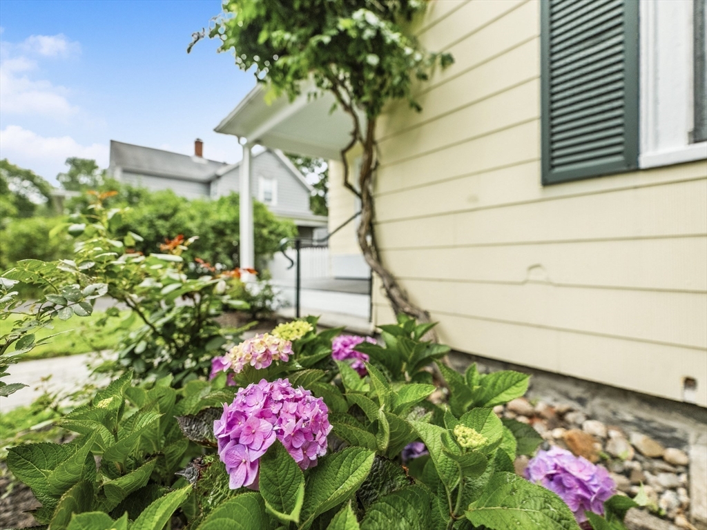 Concord, Massachusetts, 01742, United States, 3 Bedrooms Bedrooms, ,1 BathroomBathrooms,Residential,For Sale,1896713