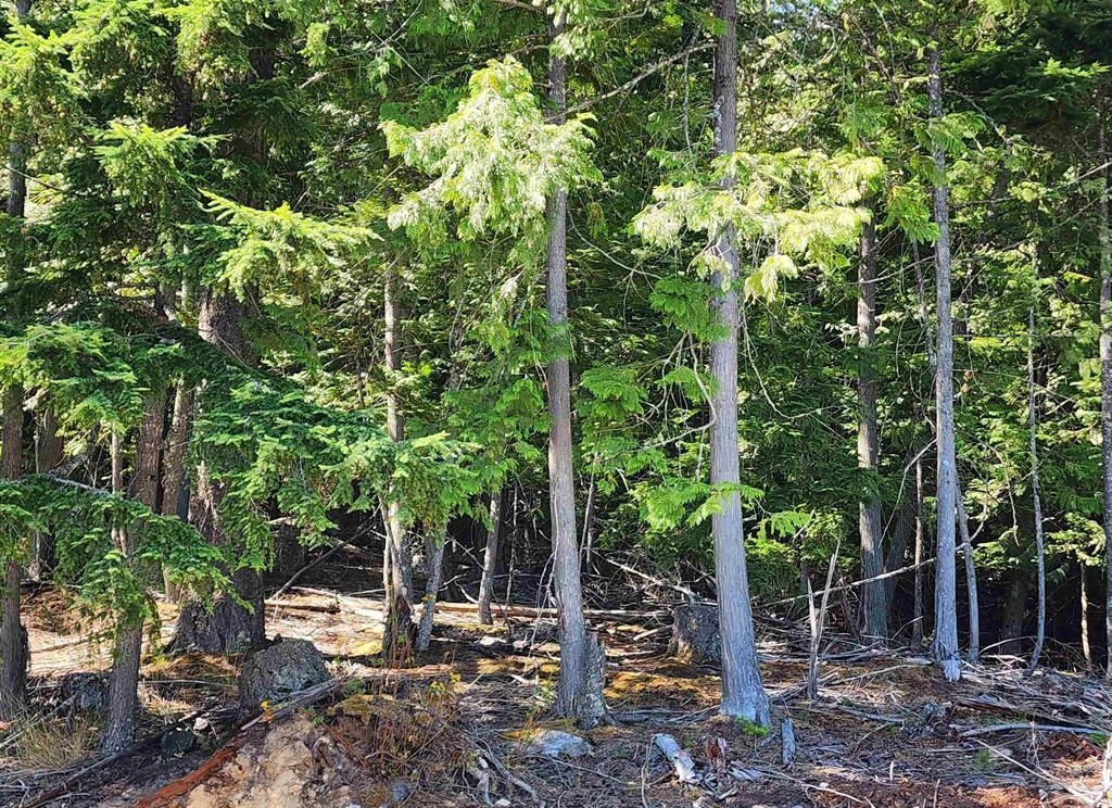 Sagle, Idaho, 83860, United States, ,Land,For Sale,1977293