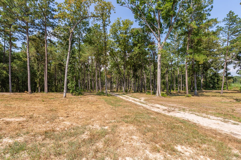 Lufkin, Texas, 75901, United States, ,1 BathroomBathrooms,Residential,For Sale,1980635