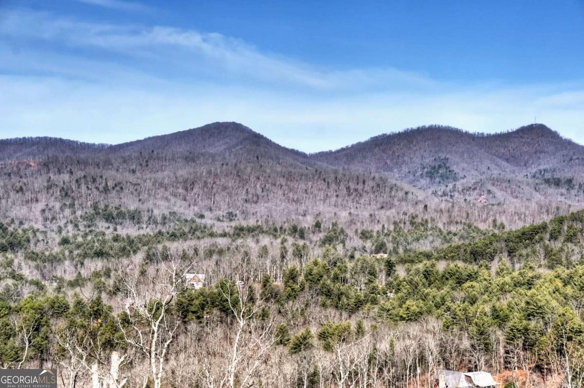 Mineral Bluff, Georgia, 30559, United States, 4 Bedrooms Bedrooms, ,4 BathroomsBathrooms,Residential,For Sale,2011407