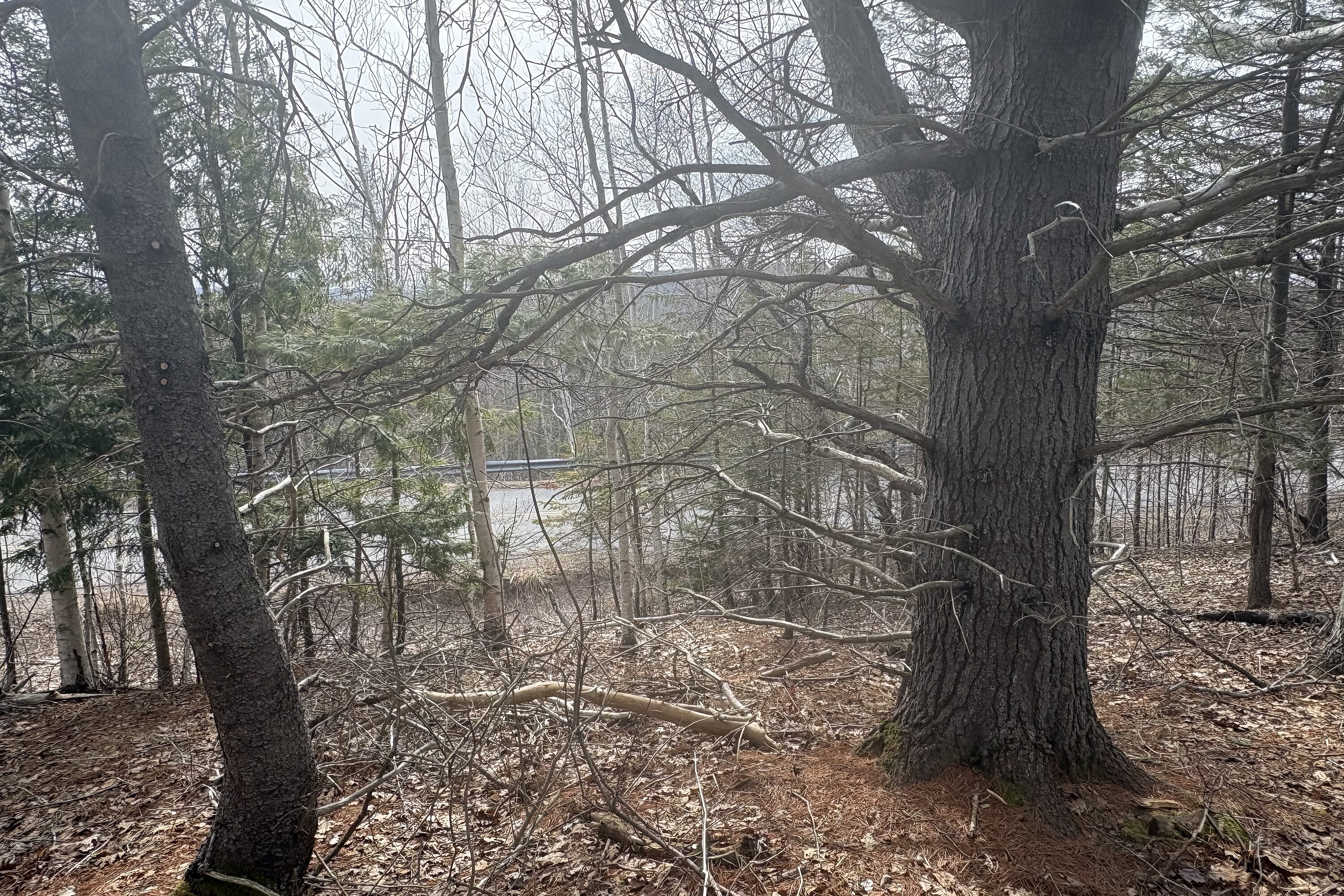  Melvern Square, - 物件實景