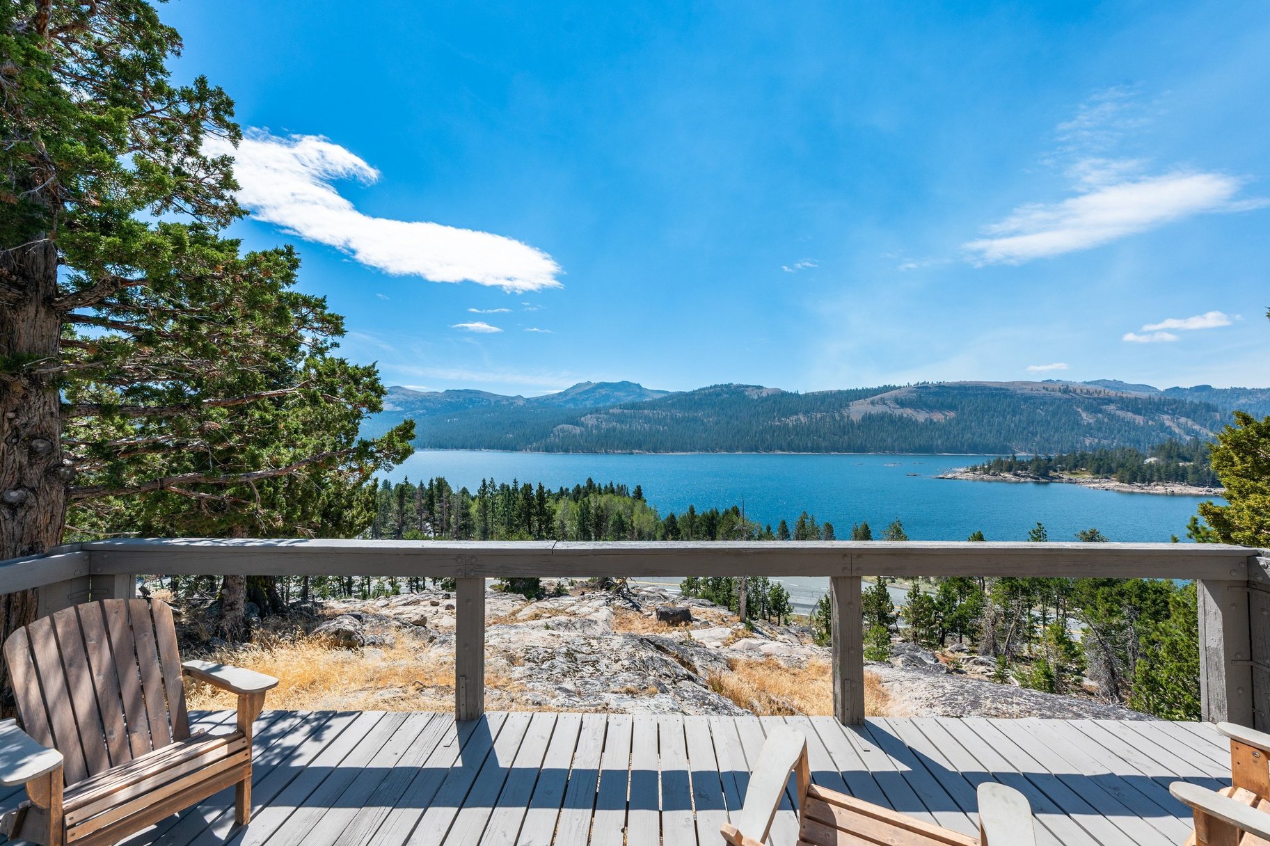  The Juniper Cabin: A Wild Invitation to See the World Differently - 物件實景