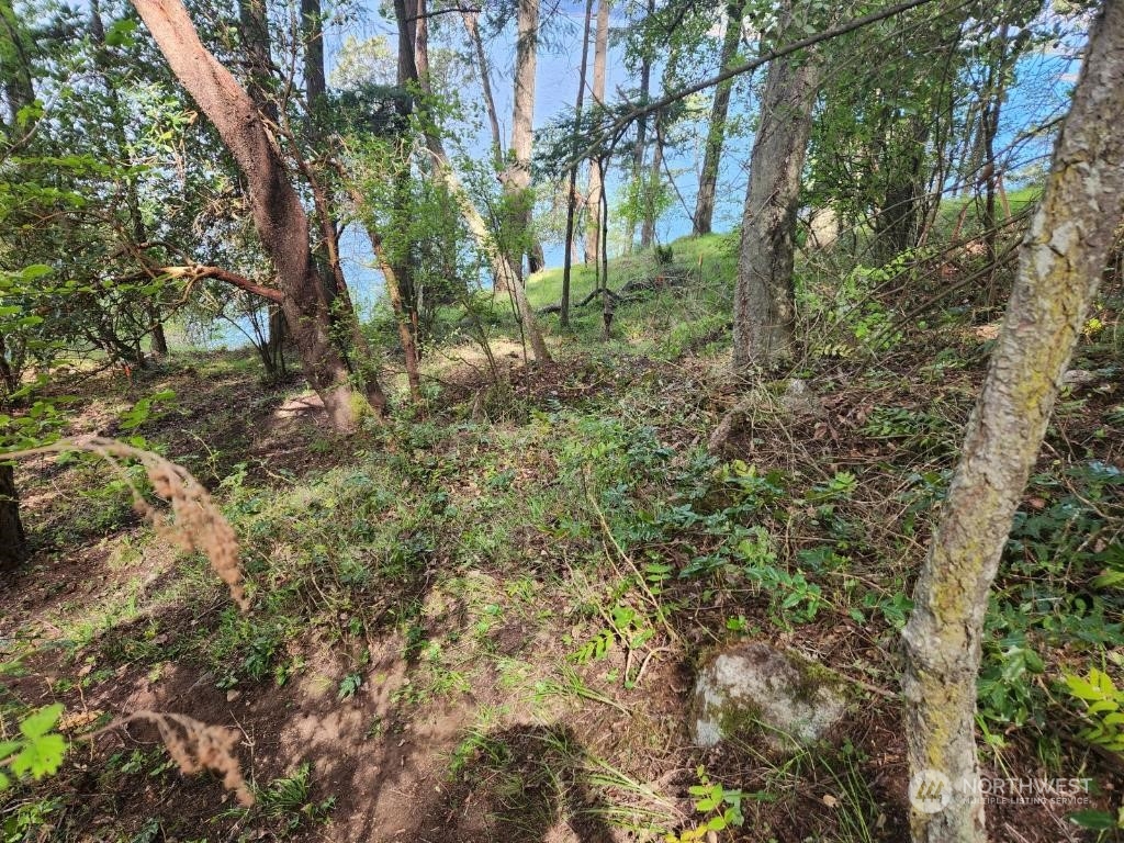 Friday Harbor, Washington, 98250, United States, ,Land,For Sale,1752518