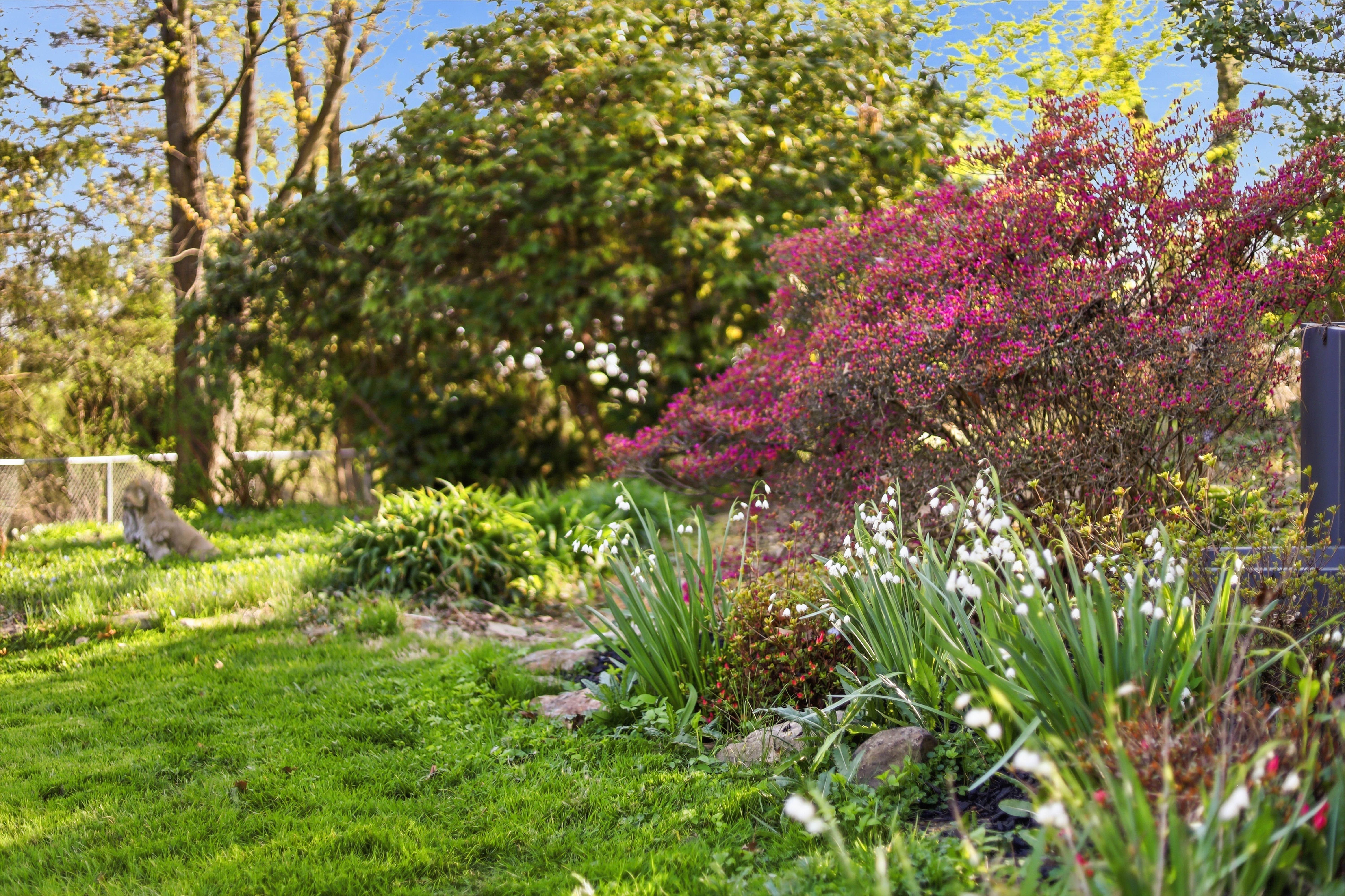  552 Greenhurst Dr, Pittsburgh, PA 15243 - 物件實景