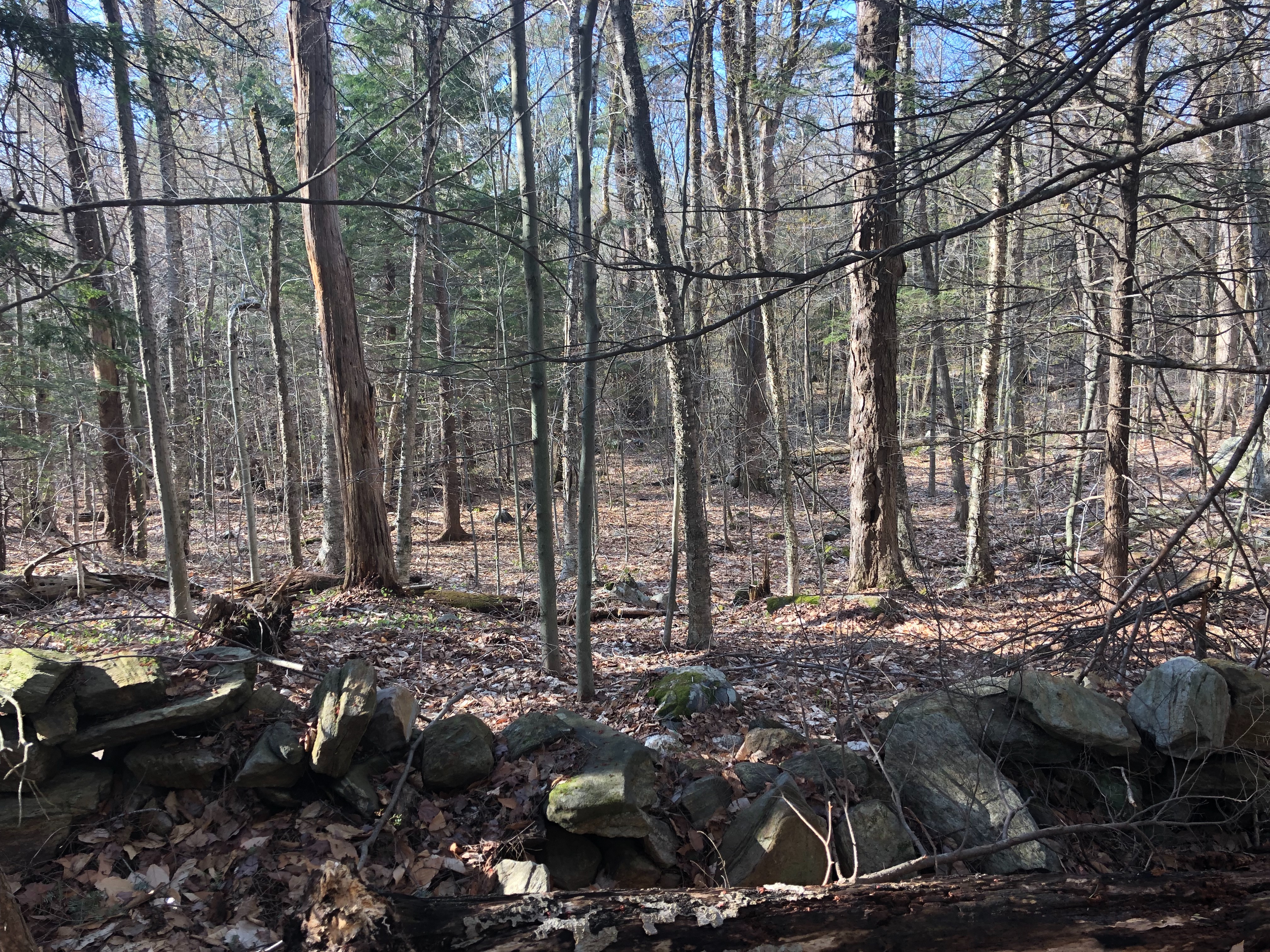  2.8 Acres on Quiet County Road in Otis - 物件實景