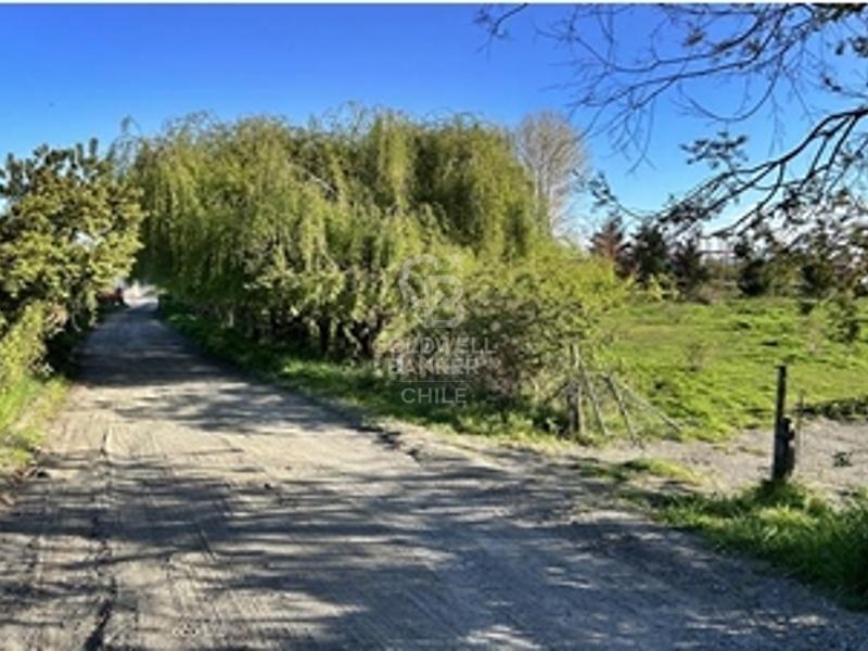 Frutillar, Chile, ,Residential,For Sale,1885462