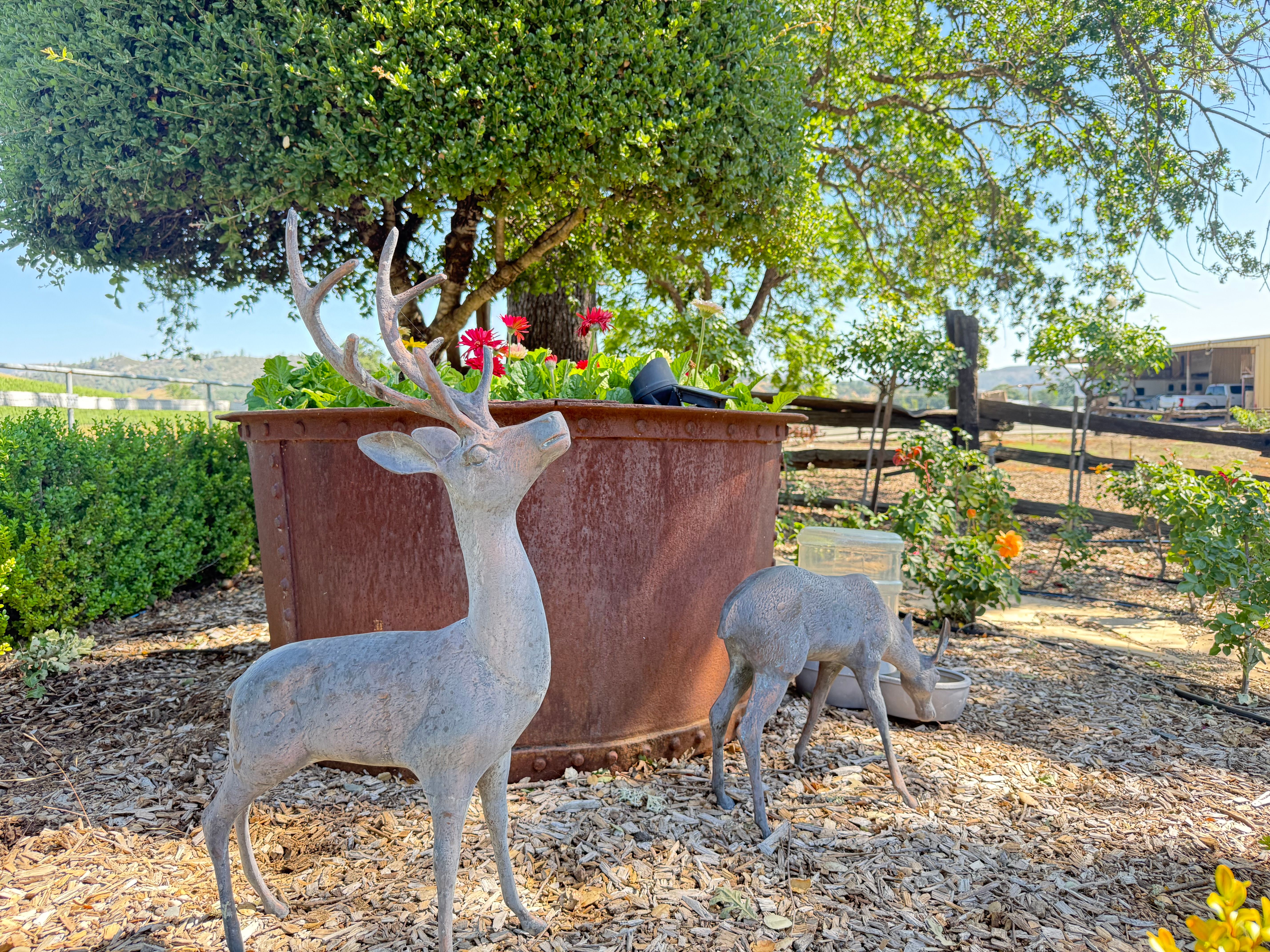  Wine Country Ranch Living - 物件實景