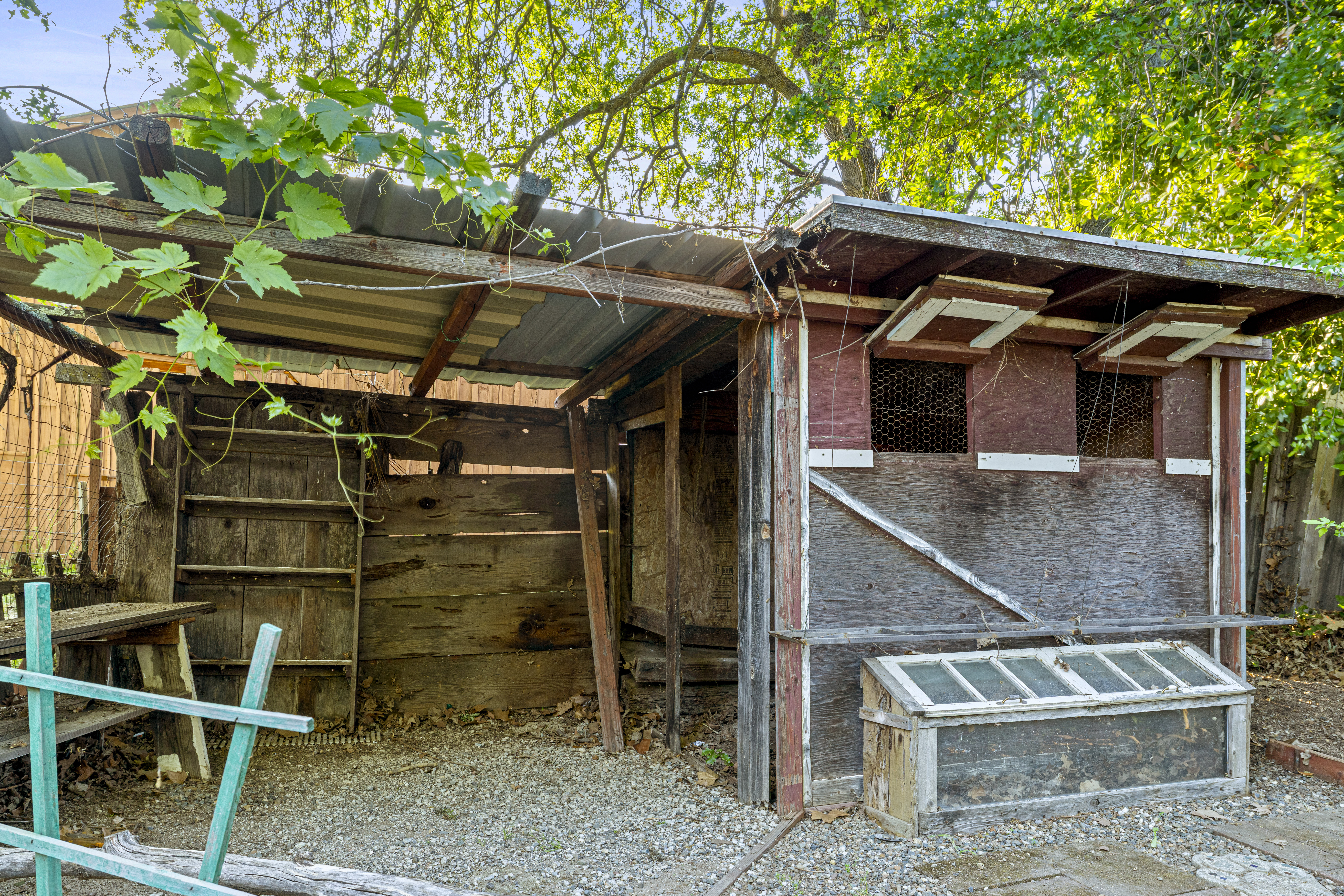  6005 Beech Avenue, Orangevale, CA 95662 - 物件實景