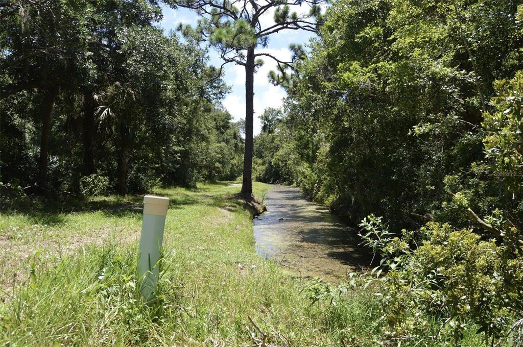 Edgewater, Florida, 32141, United States, ,Land,For Sale,1723256